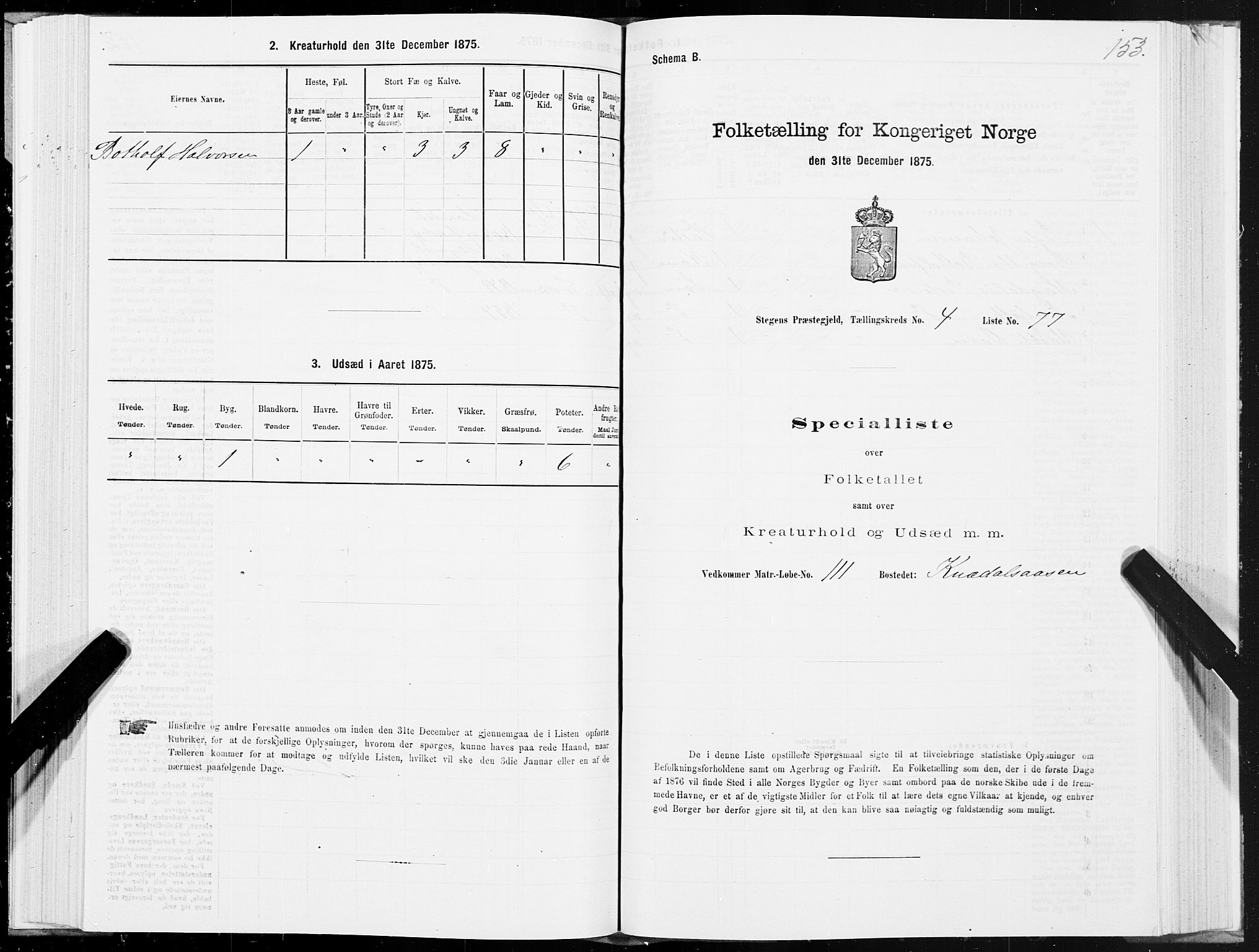 SAT, 1875 census for 1848P Steigen, 1875, p. 2153