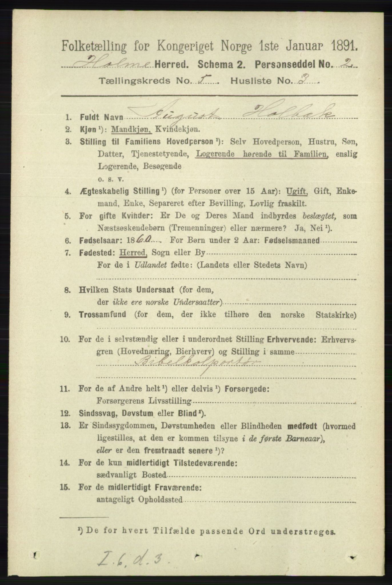 RA, 1891 census for 1020 Holum, 1891, p. 1245