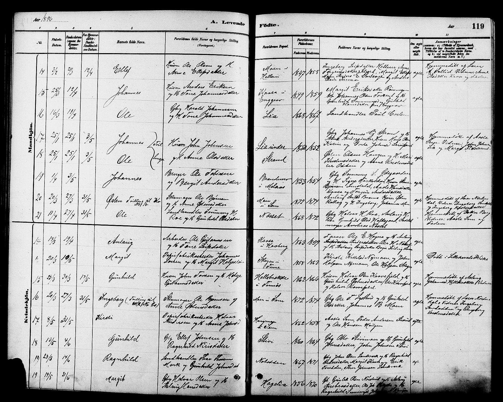 Heddal kirkebøker, SAKO/A-268/G/Ga/L0002: Parish register (copy) no. I 2, 1879-1908, p. 119