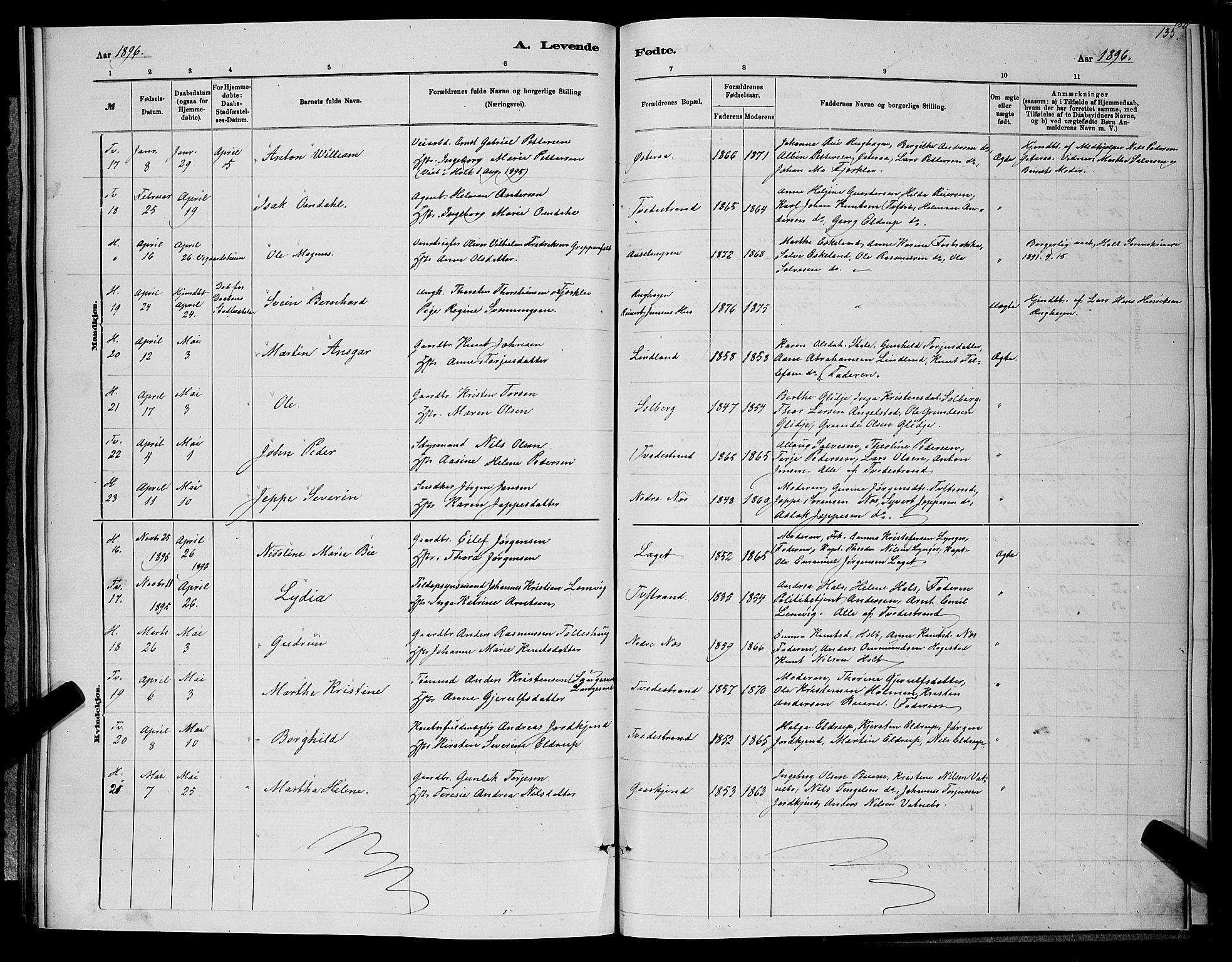 Holt sokneprestkontor, AV/SAK-1111-0021/F/Fb/L0010: Parish register (copy) no. B 10, 1883-1896, p. 135