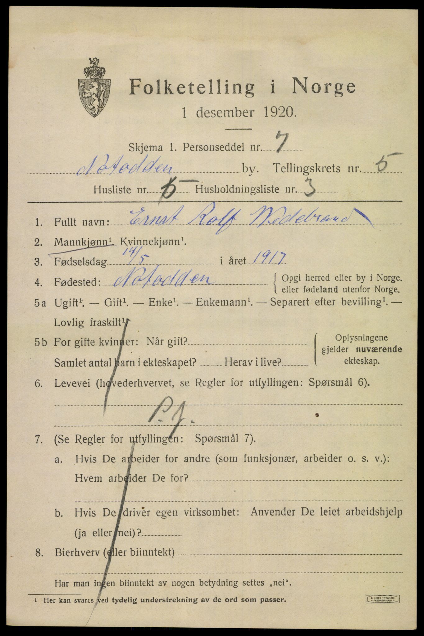 SAKO, 1920 census for Notodden, 1920, p. 11674