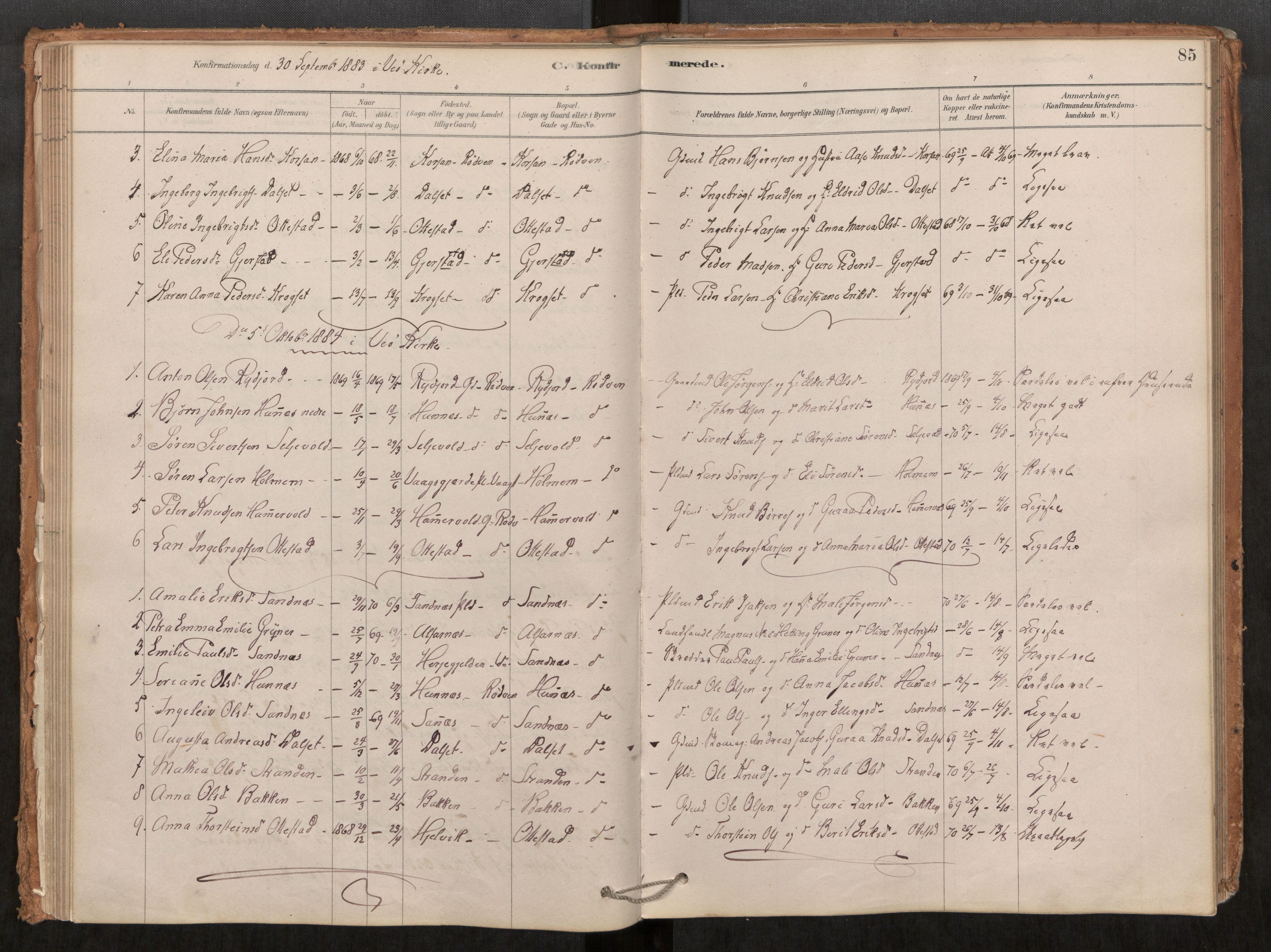 Ministerialprotokoller, klokkerbøker og fødselsregistre - Møre og Romsdal, SAT/A-1454/548/L0615: Parish register (official) no. 548A02, 1878-1906, p. 85