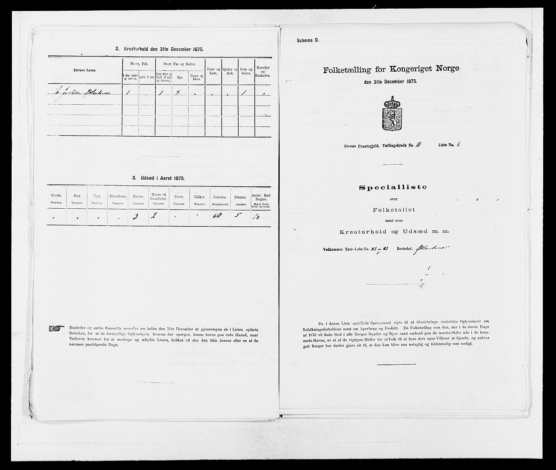 SAB, 1875 census for 1216P Sveio, 1875, p. 1258