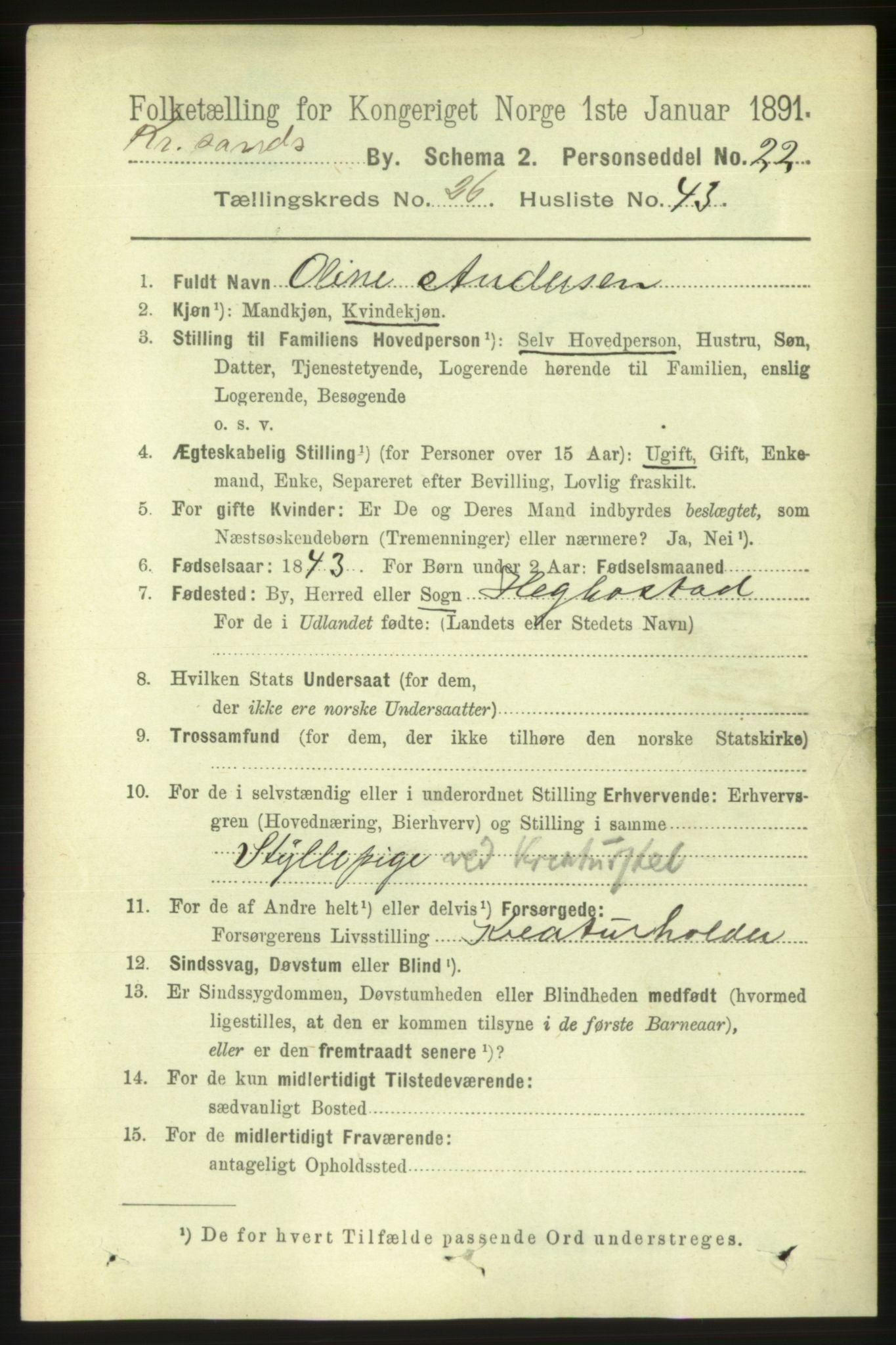 RA, 1891 census for 1001 Kristiansand, 1891, p. 9399