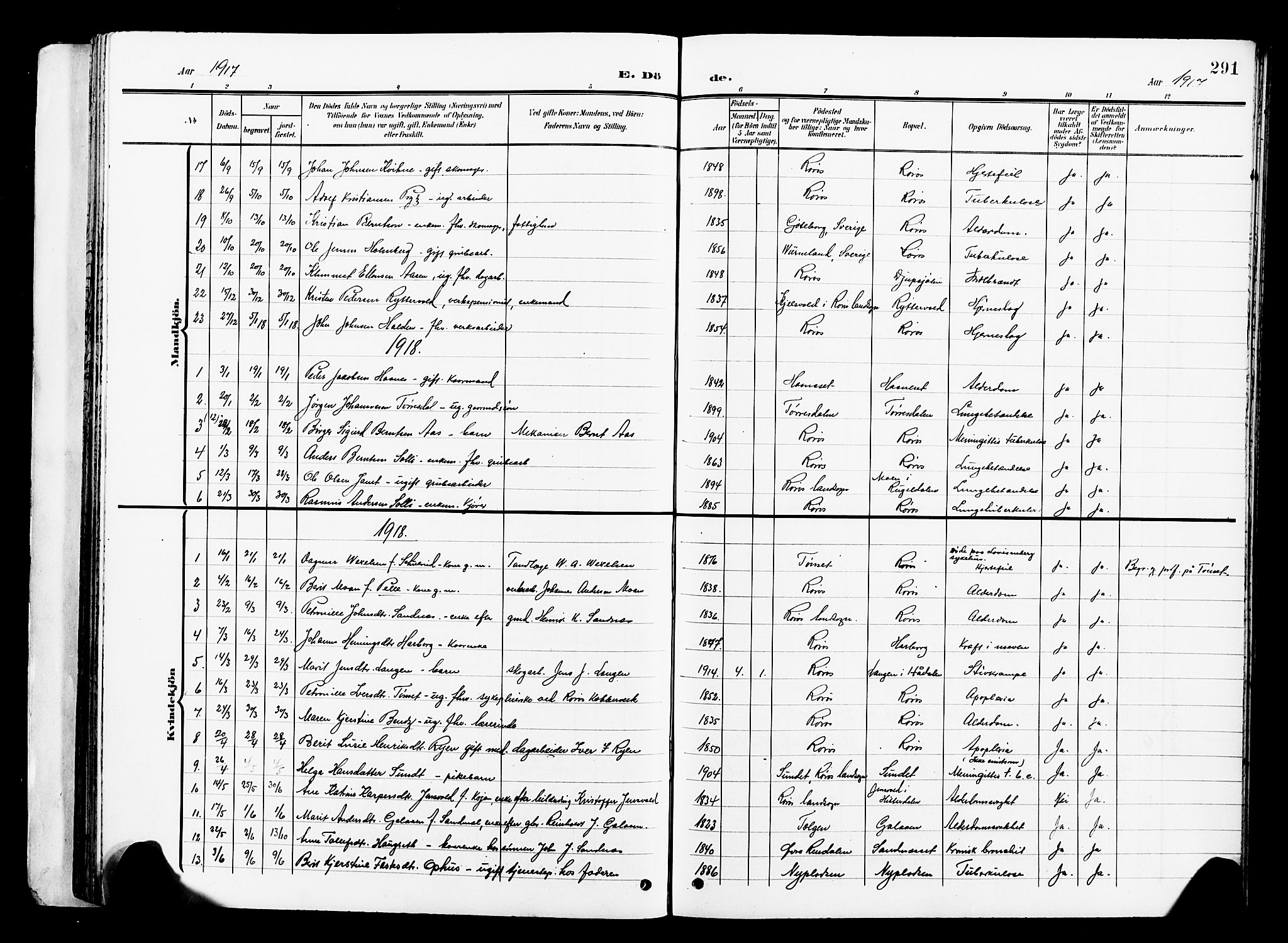 Ministerialprotokoller, klokkerbøker og fødselsregistre - Sør-Trøndelag, SAT/A-1456/681/L0942: Parish register (copy) no. 681C06, 1906-1925, p. 291