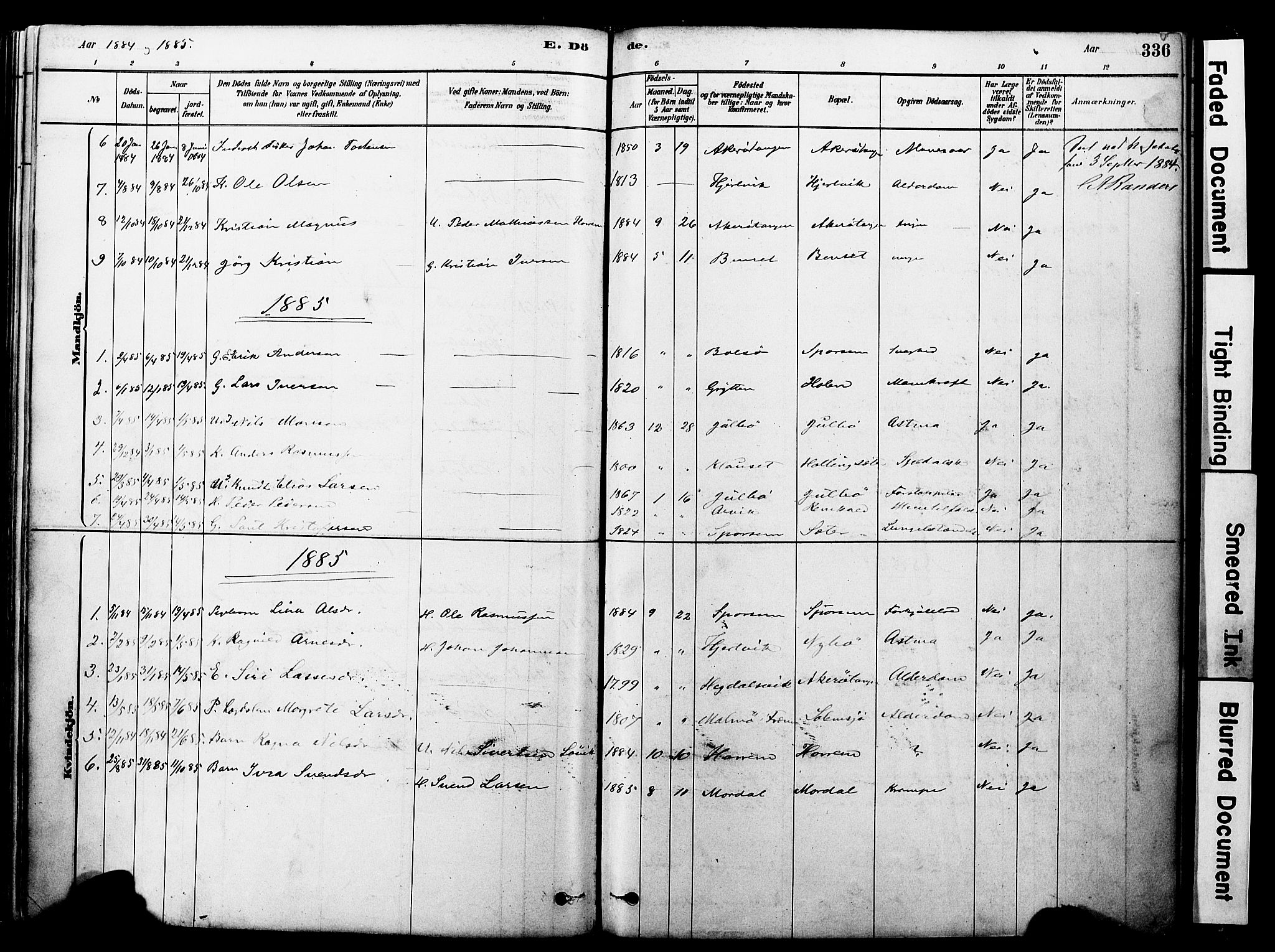 Ministerialprotokoller, klokkerbøker og fødselsregistre - Møre og Romsdal, AV/SAT-A-1454/560/L0721: Parish register (official) no. 560A05, 1878-1917, p. 336