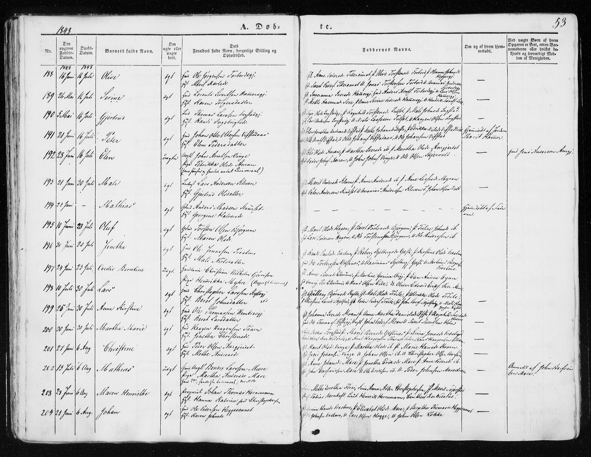 Ministerialprotokoller, klokkerbøker og fødselsregistre - Nord-Trøndelag, SAT/A-1458/709/L0074: Parish register (official) no. 709A14, 1845-1858, p. 53