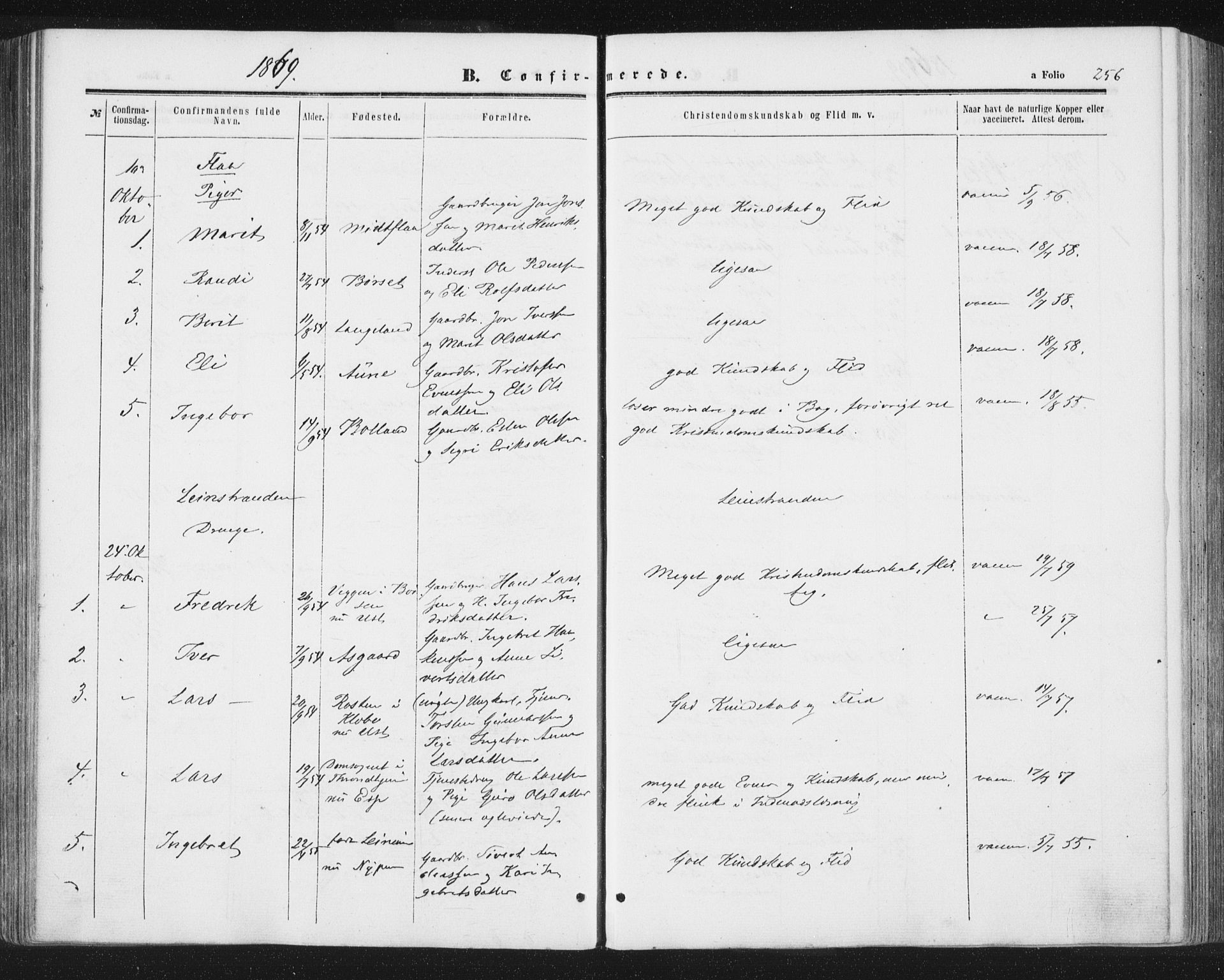 Ministerialprotokoller, klokkerbøker og fødselsregistre - Sør-Trøndelag, AV/SAT-A-1456/691/L1077: Parish register (official) no. 691A09, 1862-1873, p. 256