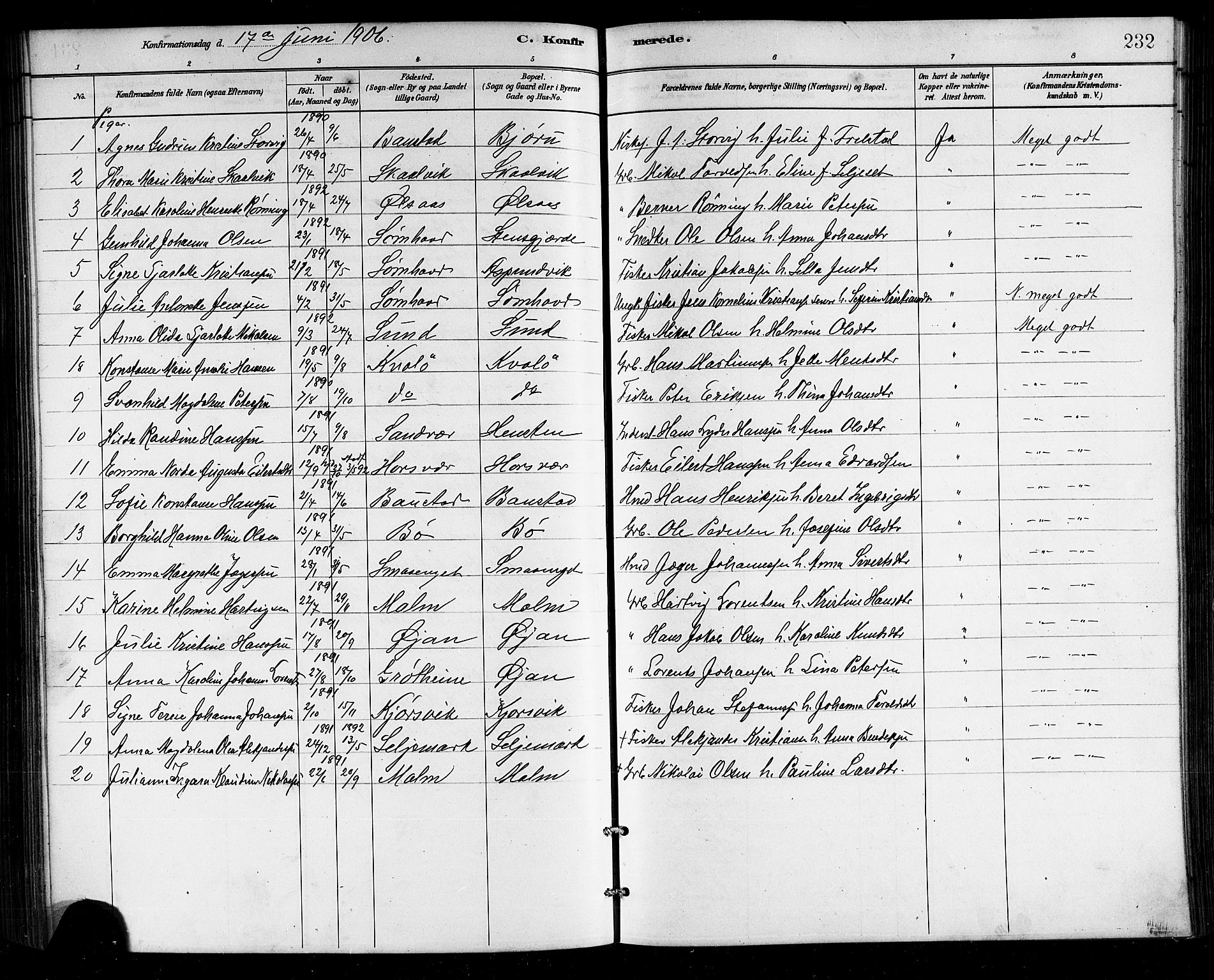Ministerialprotokoller, klokkerbøker og fødselsregistre - Nordland, AV/SAT-A-1459/812/L0188: Parish register (copy) no. 812C06, 1884-1912, p. 232