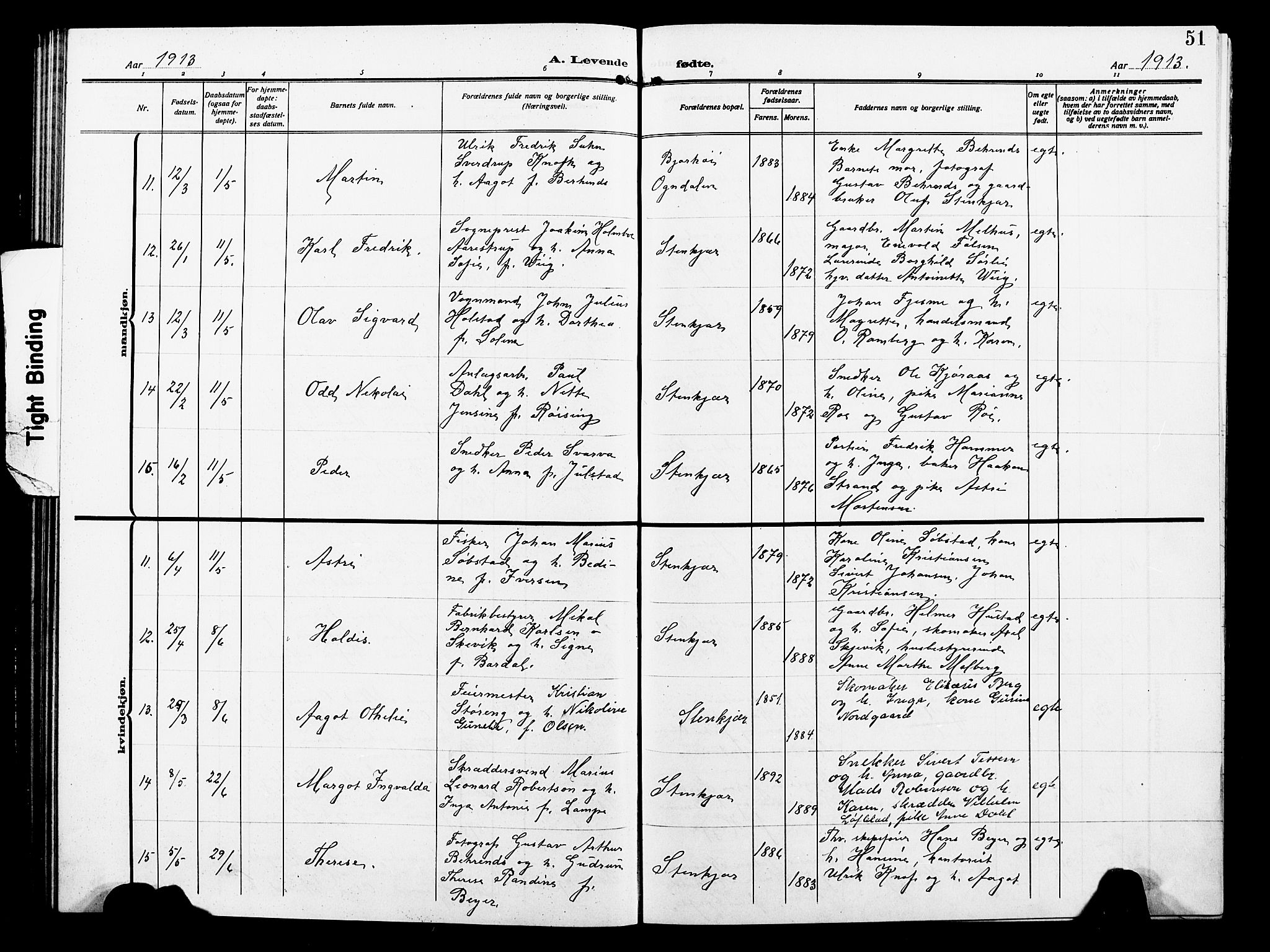 Ministerialprotokoller, klokkerbøker og fødselsregistre - Nord-Trøndelag, SAT/A-1458/739/L0376: Parish register (copy) no. 739C04, 1908-1917, p. 51