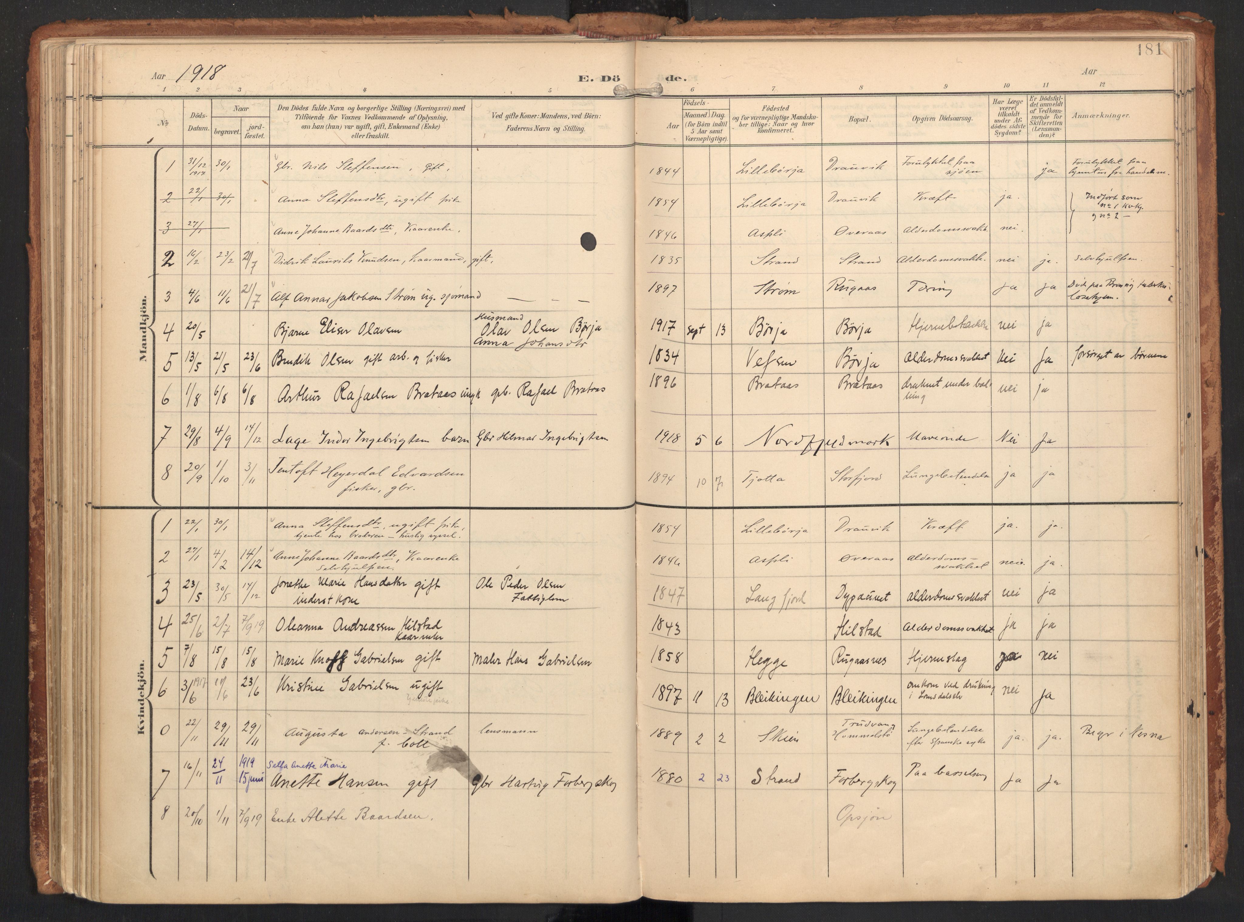Ministerialprotokoller, klokkerbøker og fødselsregistre - Nordland, SAT/A-1459/814/L0227: Parish register (official) no. 814A08, 1899-1920, p. 181
