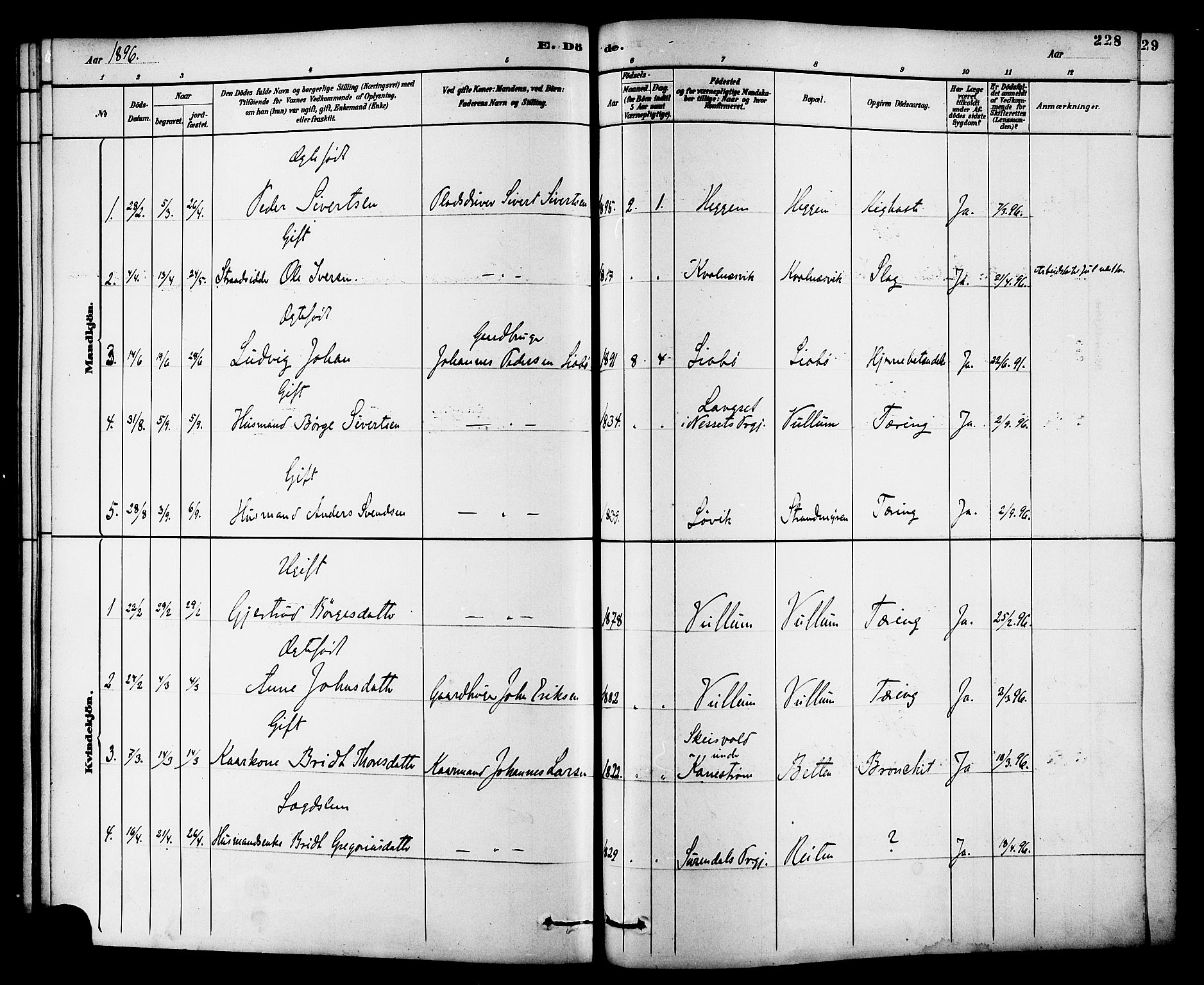 Ministerialprotokoller, klokkerbøker og fødselsregistre - Møre og Romsdal, SAT/A-1454/576/L0885: Parish register (official) no. 576A03, 1880-1898, p. 228