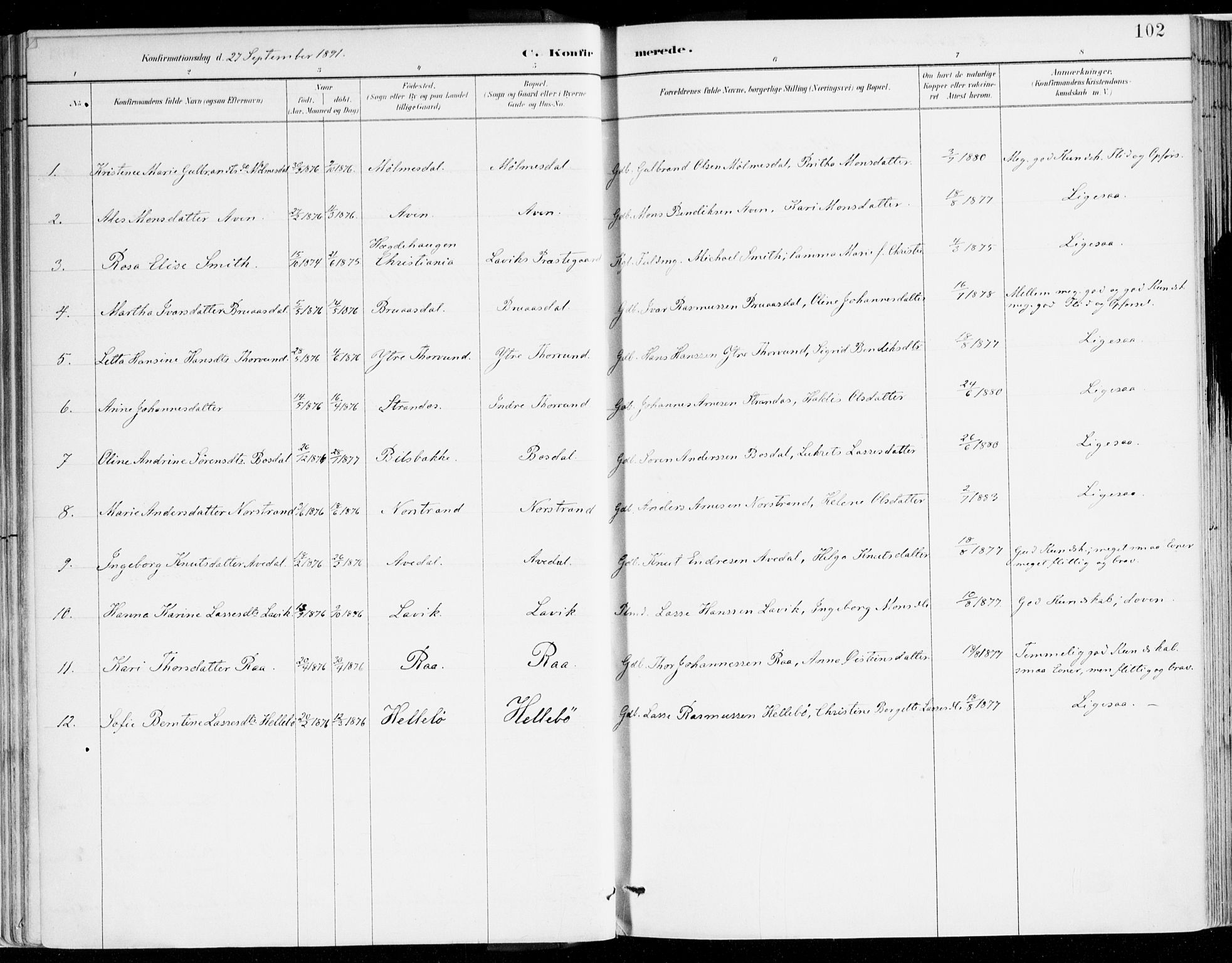 Lavik sokneprestembete, AV/SAB-A-80901: Parish register (official) no. B 1, 1882-1908, p. 102