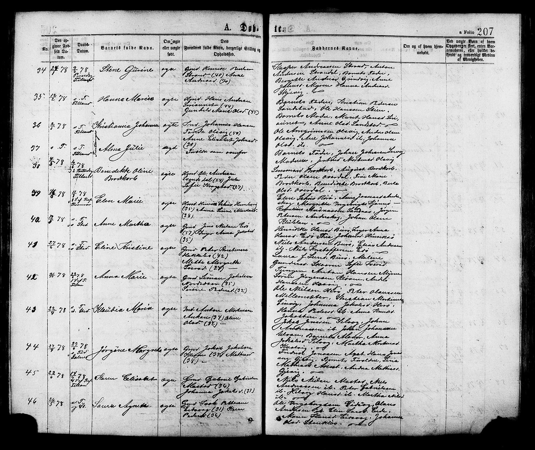 Ministerialprotokoller, klokkerbøker og fødselsregistre - Sør-Trøndelag, SAT/A-1456/634/L0532: Parish register (official) no. 634A08, 1871-1881, p. 207