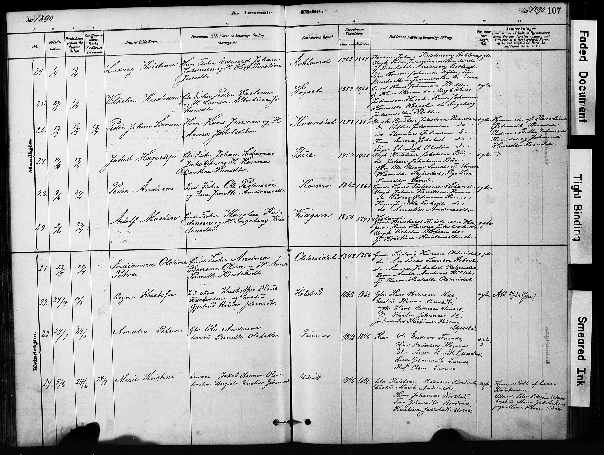 Ministerialprotokoller, klokkerbøker og fødselsregistre - Nordland, AV/SAT-A-1459/852/L0754: Parish register (copy) no. 852C05, 1878-1894, p. 107