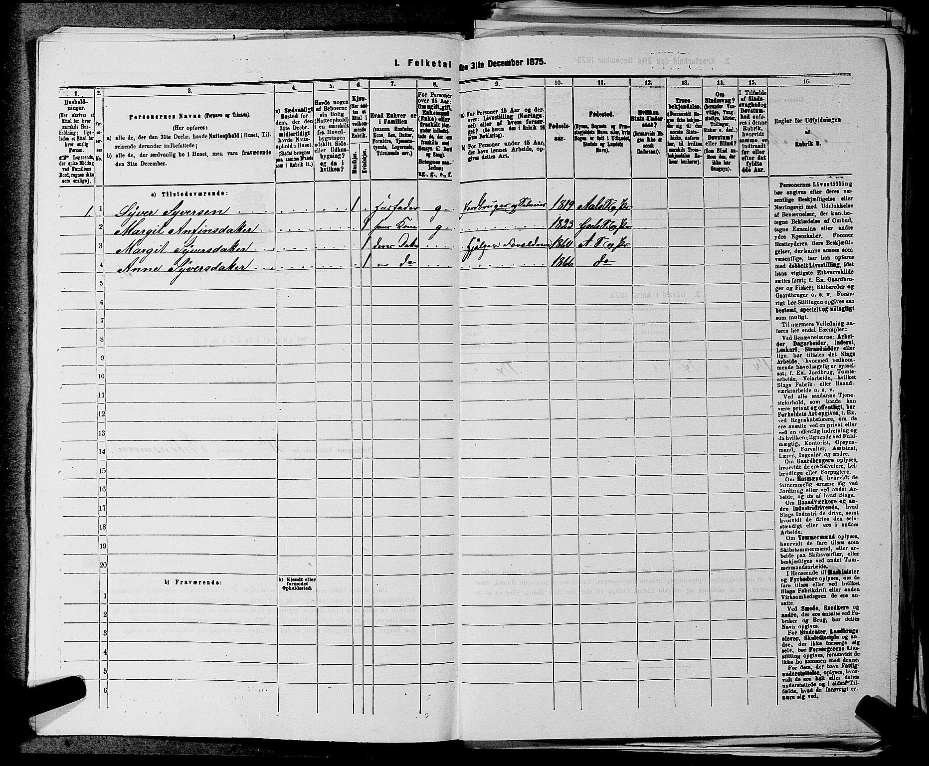 SAKO, 1875 census for 0619P Ål, 1875, p. 325