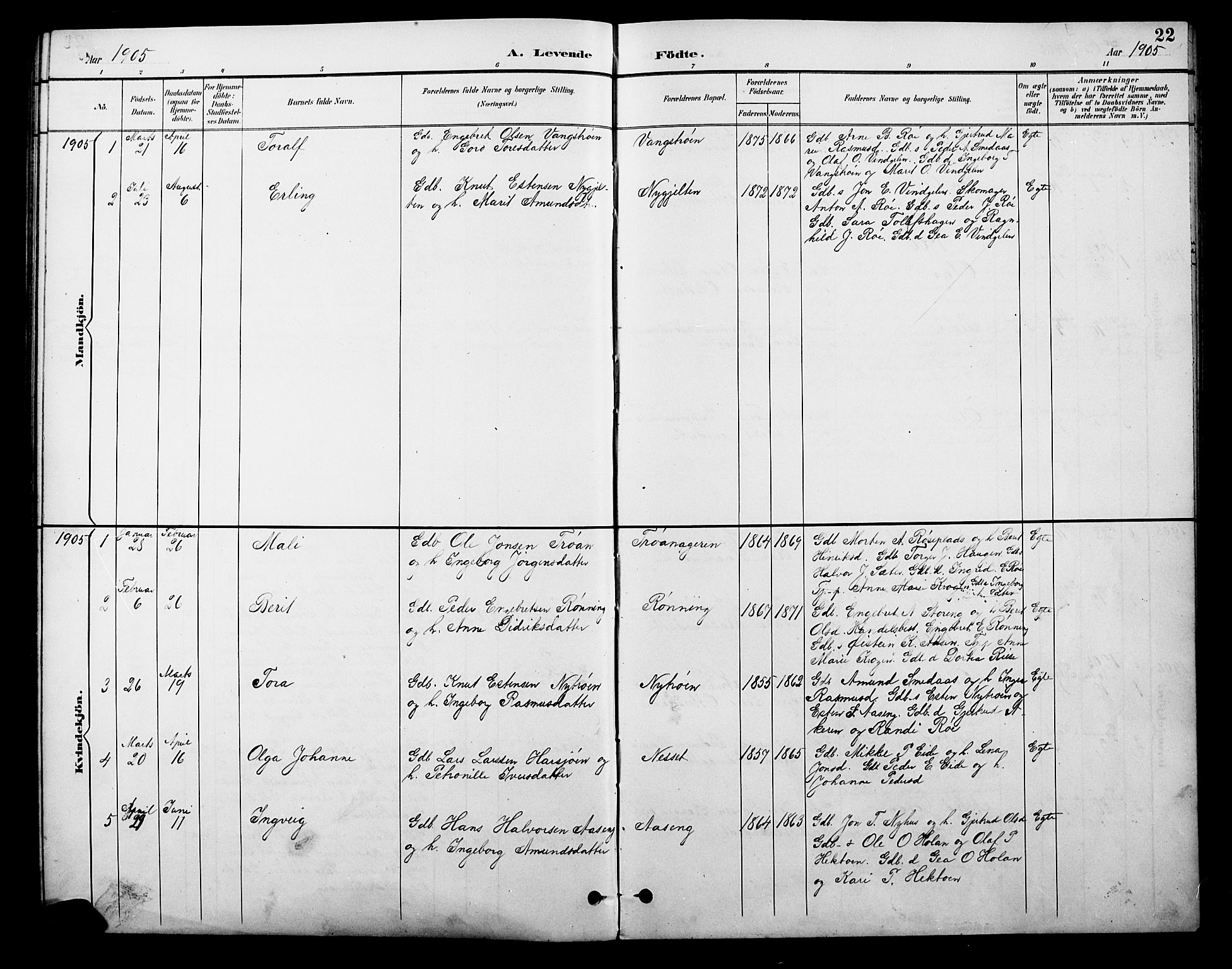 Tolga prestekontor, AV/SAH-PREST-062/L/L0010: Parish register (copy) no. 10, 1894-1918, p. 22