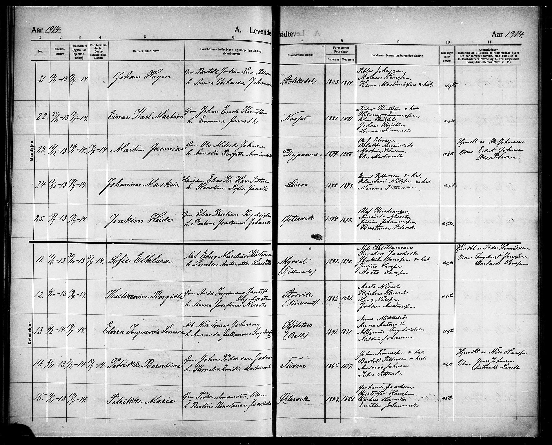 Ministerialprotokoller, klokkerbøker og fødselsregistre - Nordland, AV/SAT-A-1459/863/L0916: Parish register (copy) no. 863C06, 1907-1921