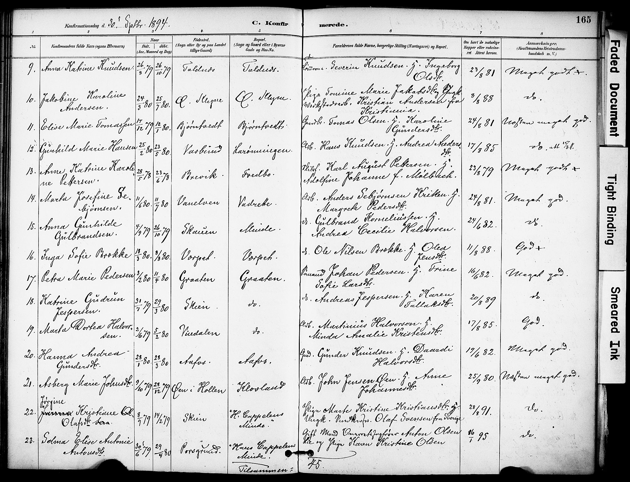 Solum kirkebøker, SAKO/A-306/F/Fa/L0010: Parish register (official) no. I 10, 1888-1898, p. 165