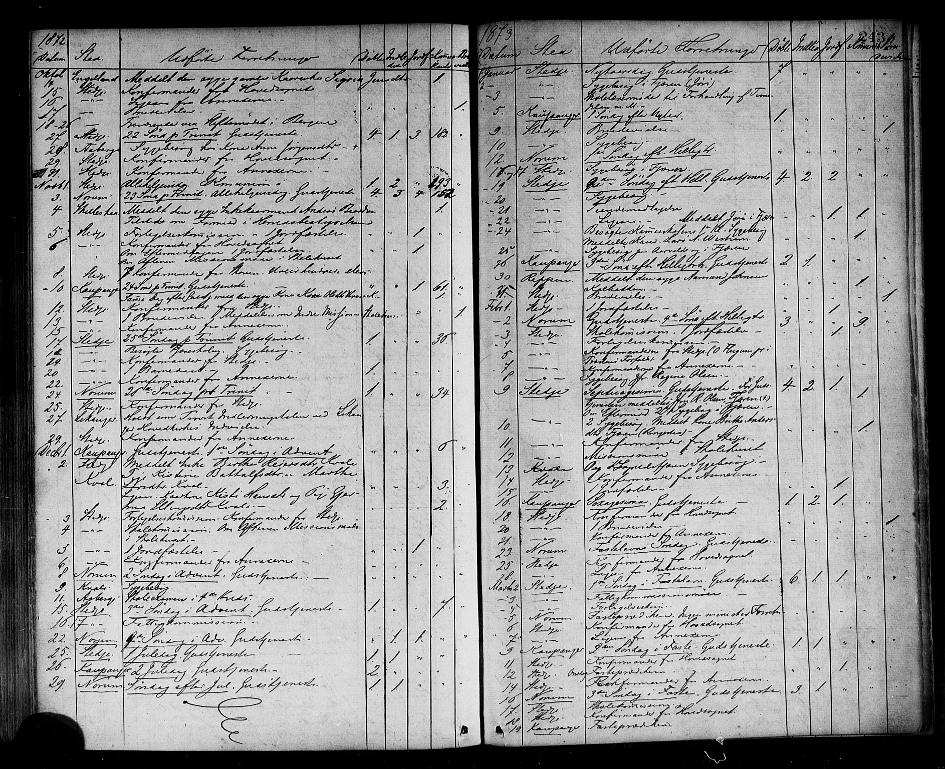Sogndal sokneprestembete, SAB/A-81301/H/Haa/Haaa/L0014: Parish register (official) no. A 14, 1864-1877, p. 243