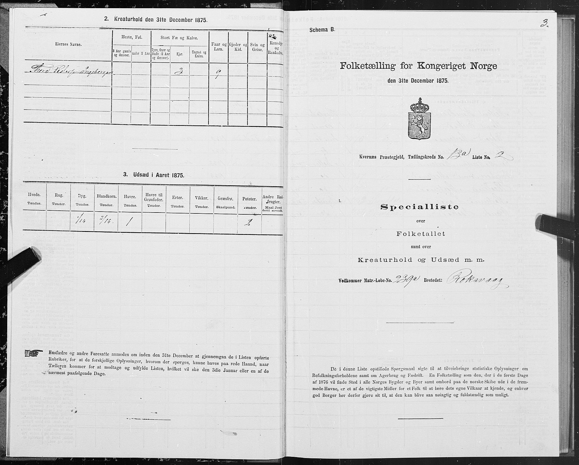 SAT, 1875 census for 1553P Kvernes, 1875, p. 7003