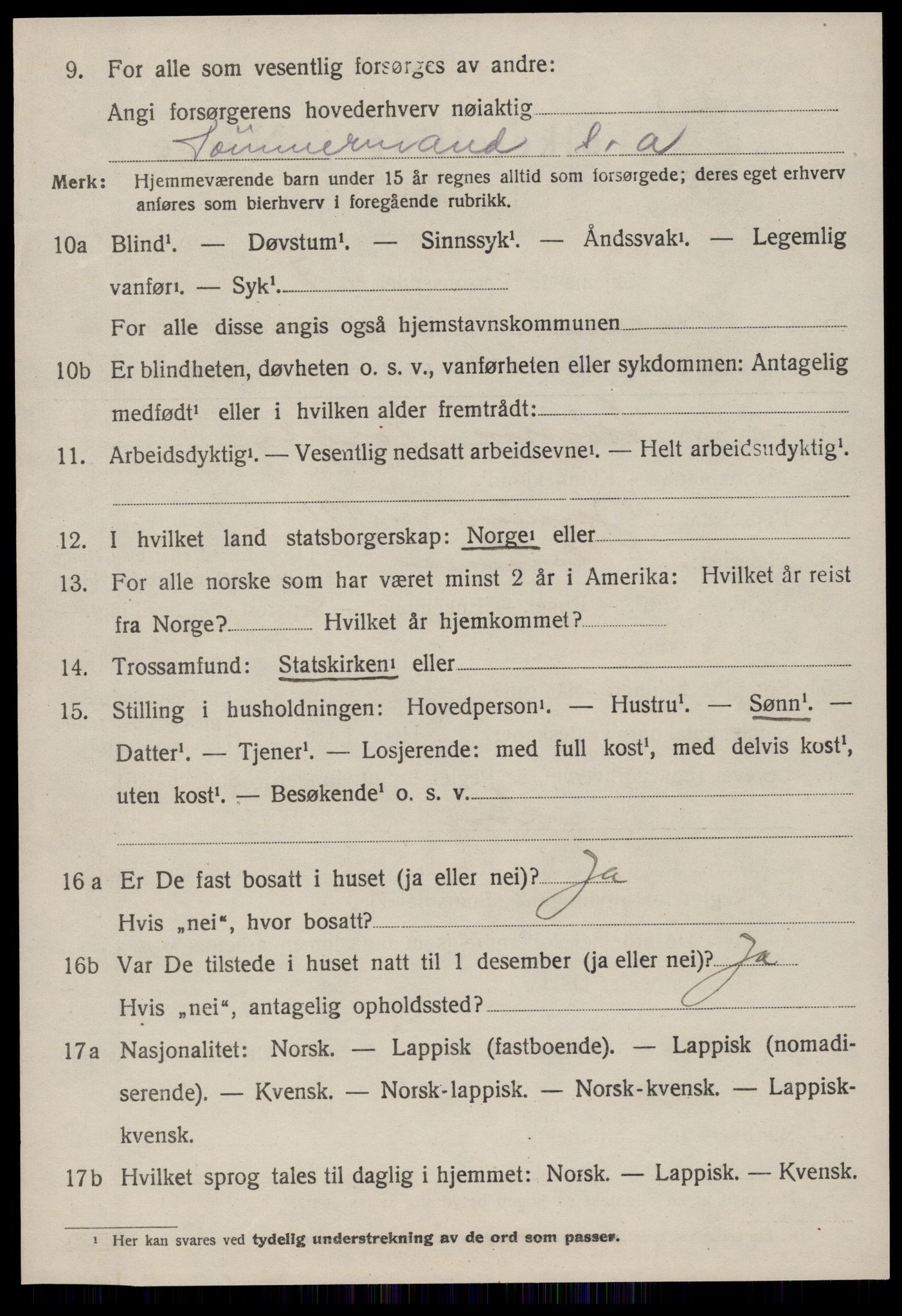 SAT, 1920 census for Hemne, 1920, p. 3991