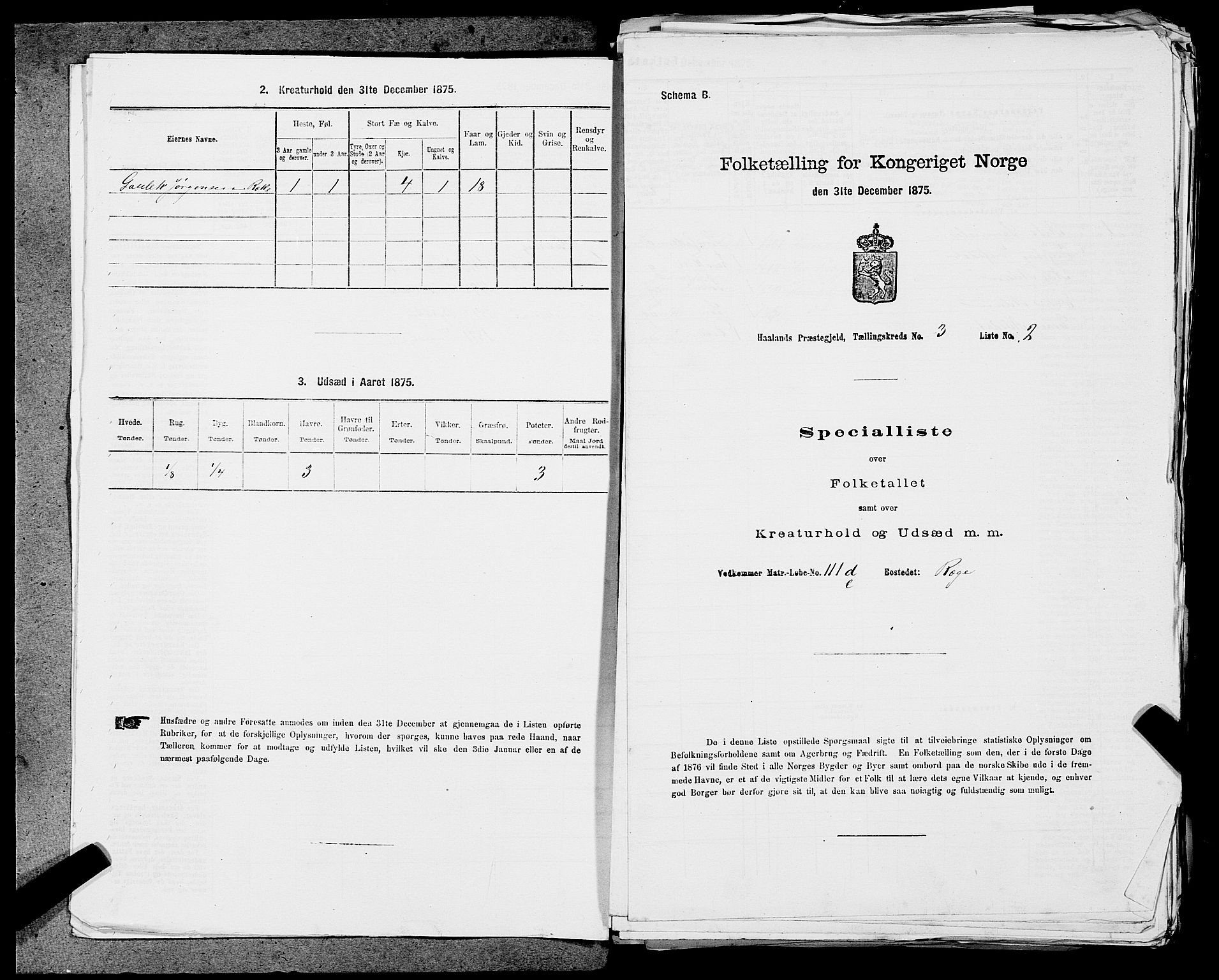 SAST, 1875 census for 1124P Håland, 1875, p. 383