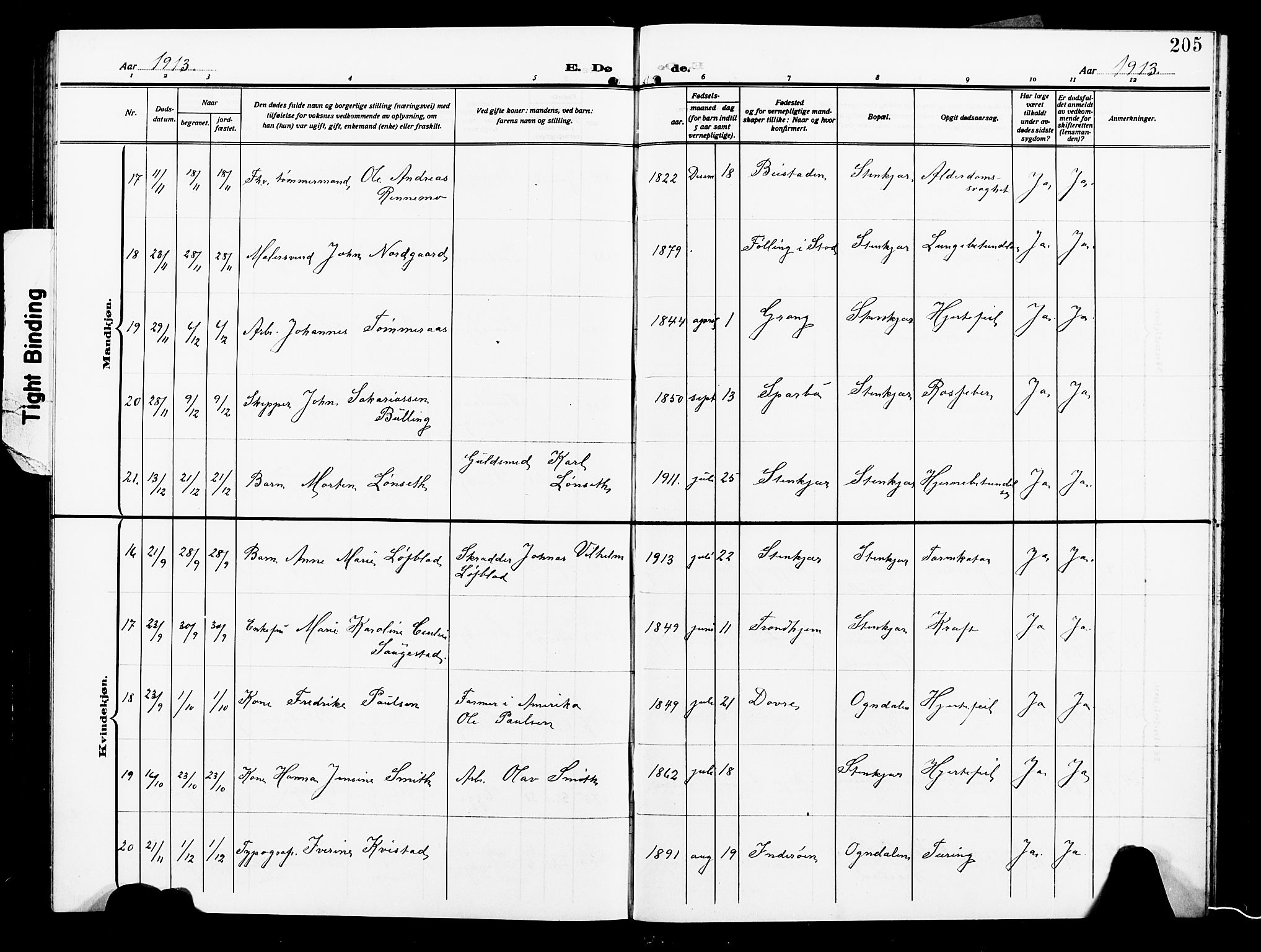 Ministerialprotokoller, klokkerbøker og fødselsregistre - Nord-Trøndelag, AV/SAT-A-1458/739/L0376: Parish register (copy) no. 739C04, 1908-1917, p. 205