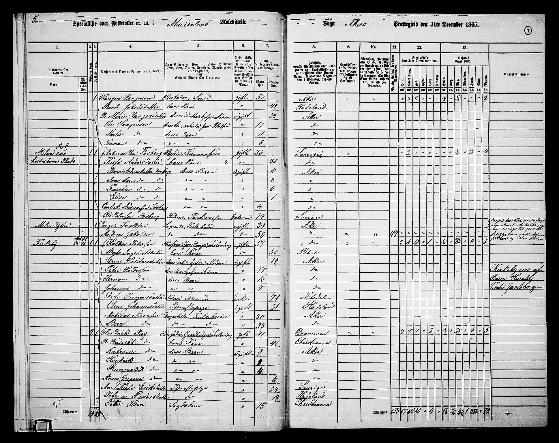 RA, 1865 census for Vestre Aker, 1865, p. 191