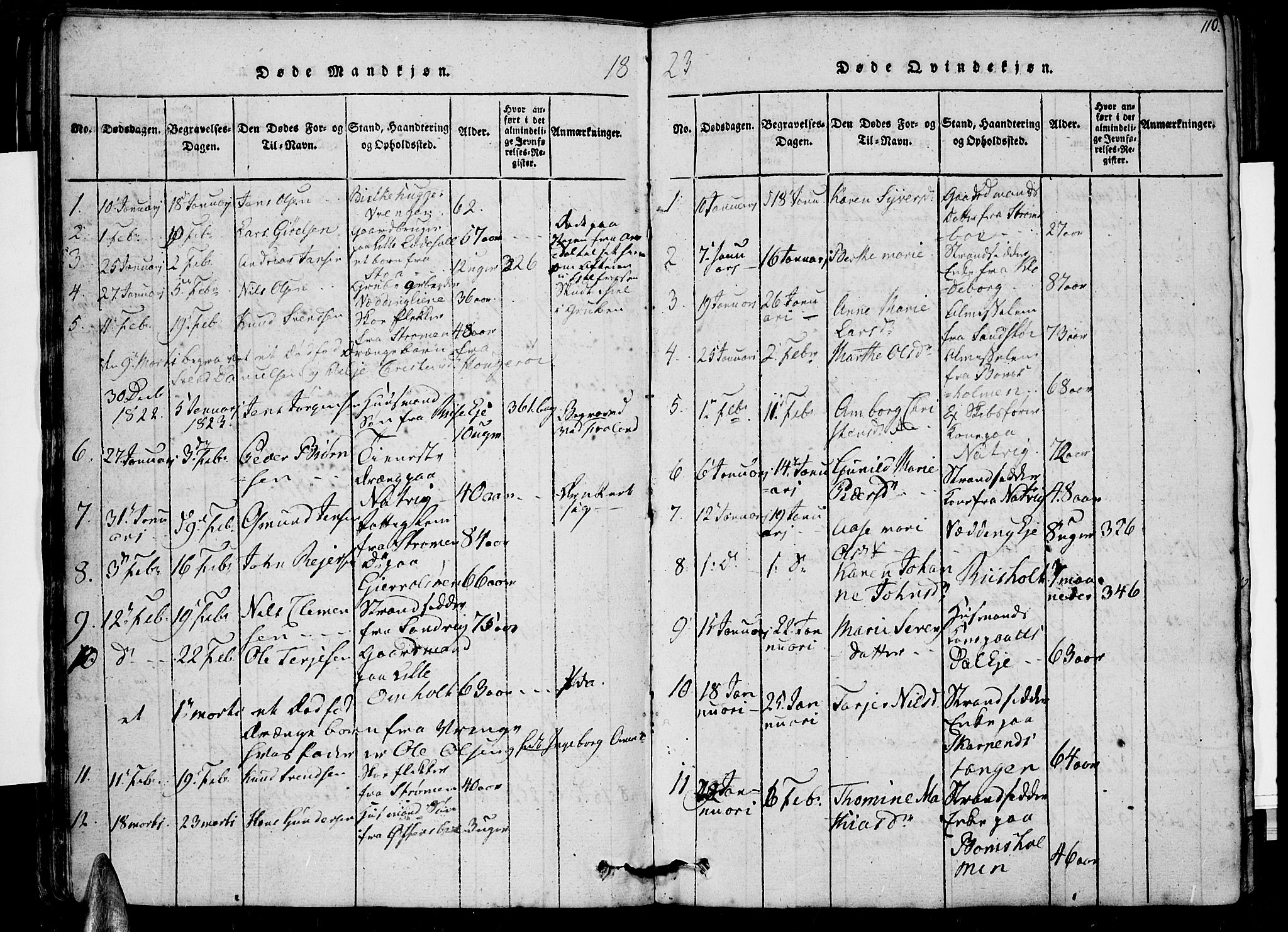 Øyestad sokneprestkontor, SAK/1111-0049/F/Fb/L0003: Parish register (copy) no. B 3, 1816-1827, p. 110