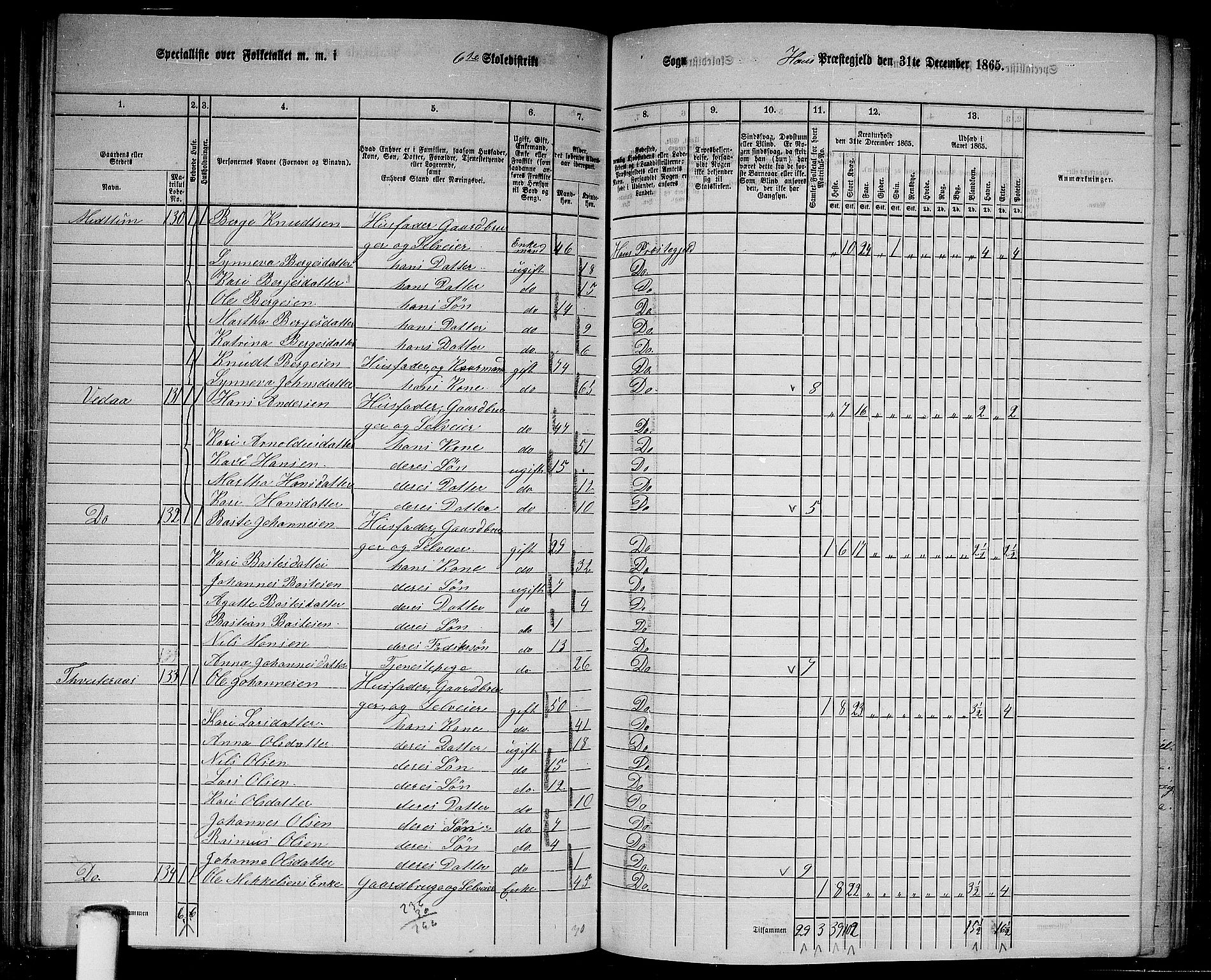 RA, 1865 census for Haus, 1865, p. 122