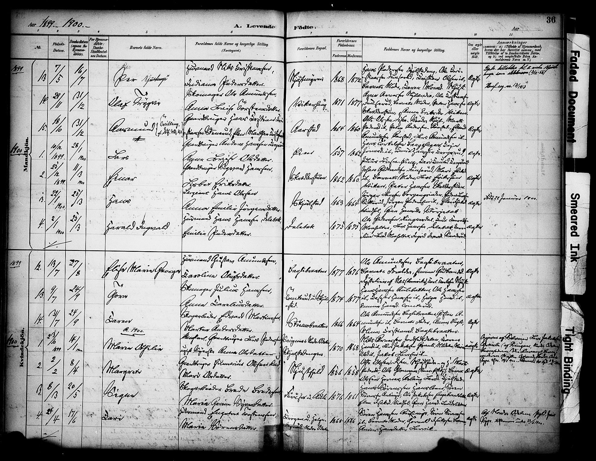 Sør-Odal prestekontor, SAH/PREST-030/H/Ha/Haa/L0009: Parish register (official) no. 9, 1886-1926, p. 36