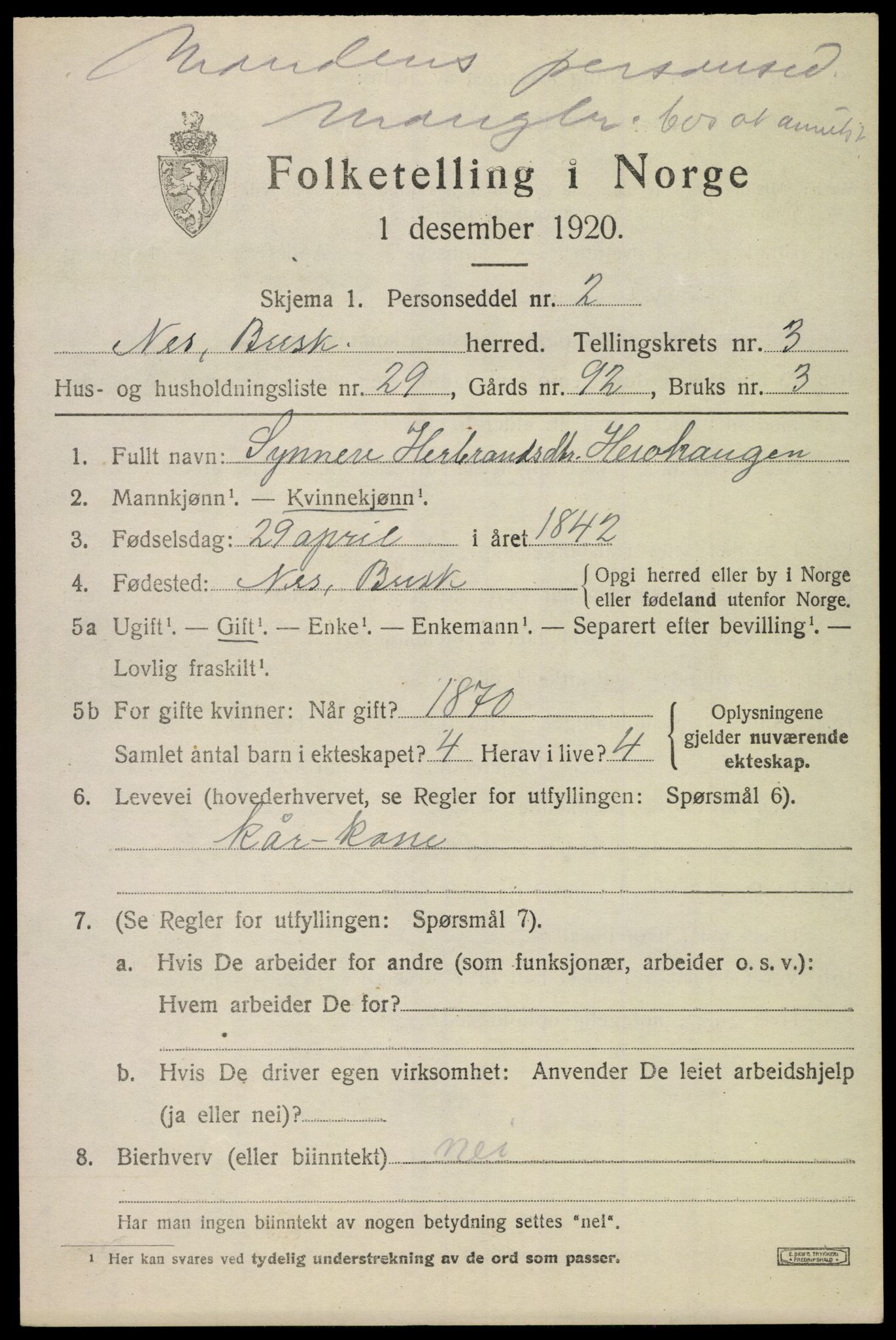 SAKO, 1920 census for Nes (Buskerud), 1920, p. 1896