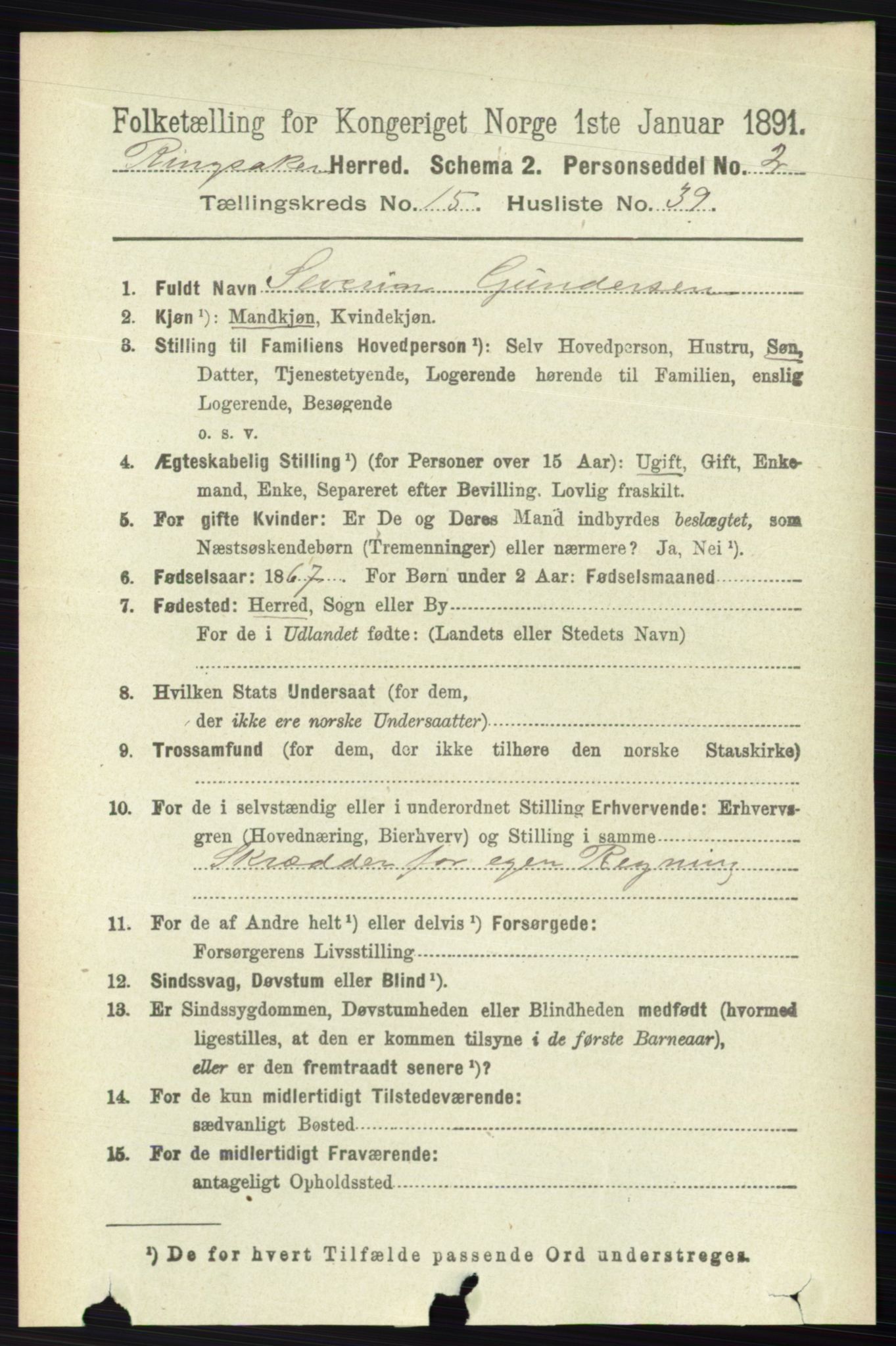 RA, 1891 census for 0412 Ringsaker, 1891, p. 8733