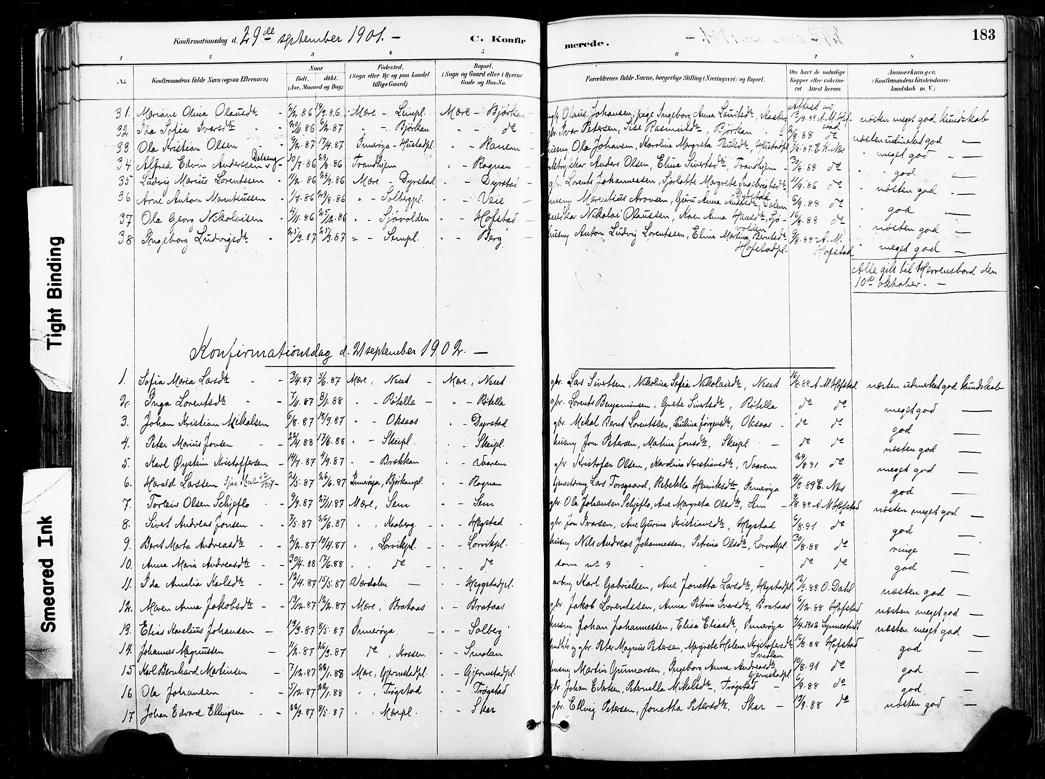 Ministerialprotokoller, klokkerbøker og fødselsregistre - Nord-Trøndelag, AV/SAT-A-1458/735/L0351: Parish register (official) no. 735A10, 1884-1908, p. 183