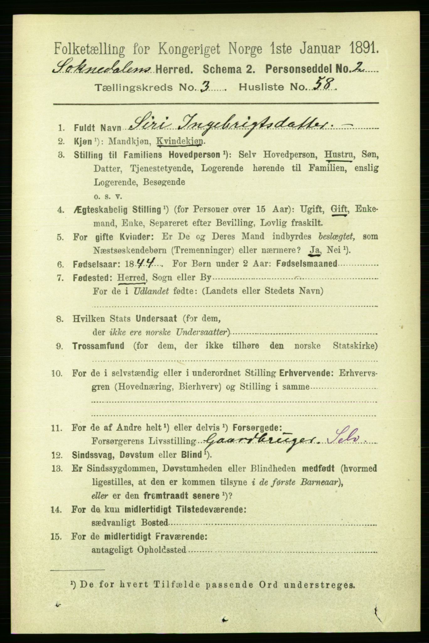 RA, 1891 census for 1649 Soknedal, 1891, p. 1517