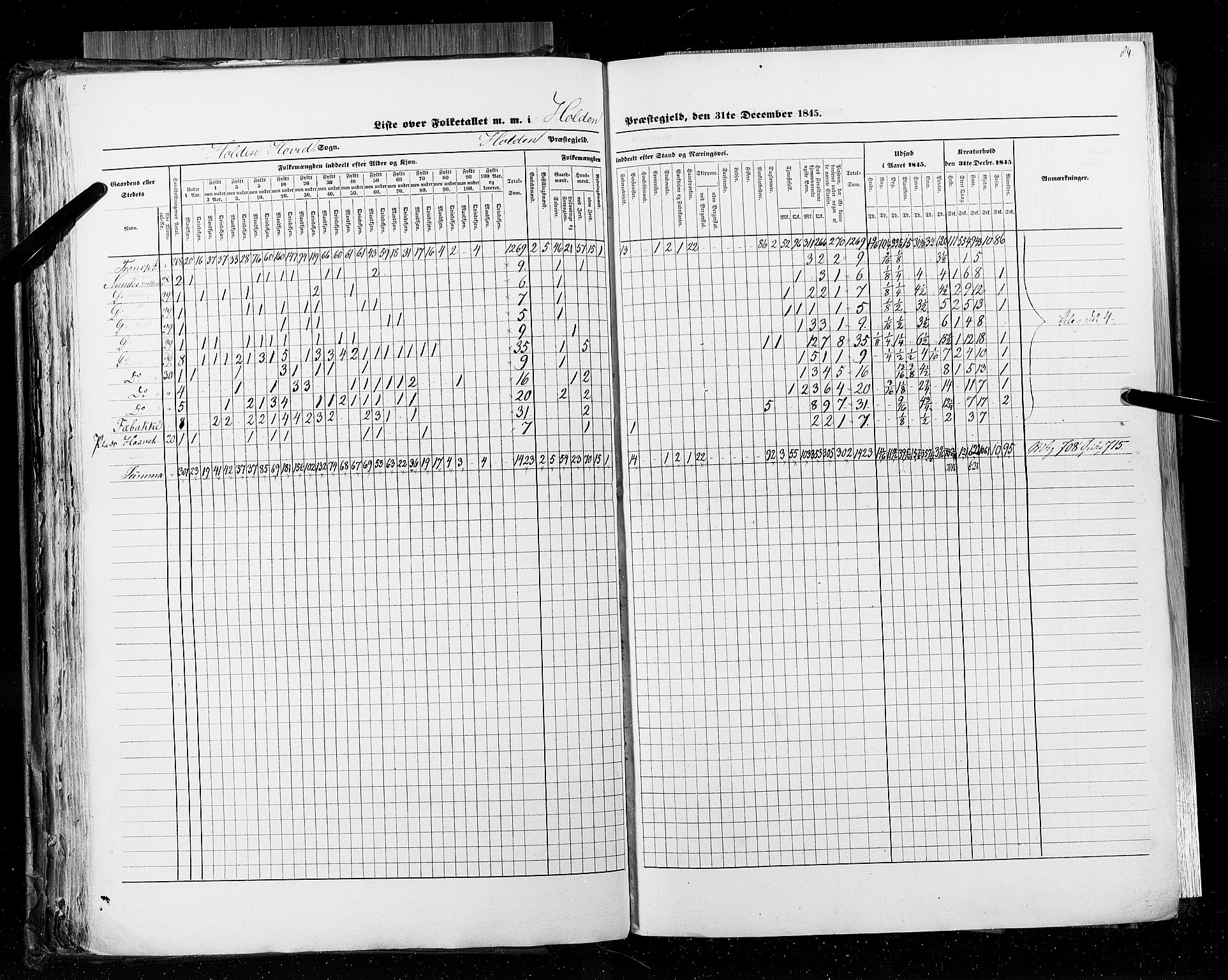 RA, Census 1845, vol. 5: Bratsberg amt og Nedenes og Råbyggelaget amt, 1845, p. 84