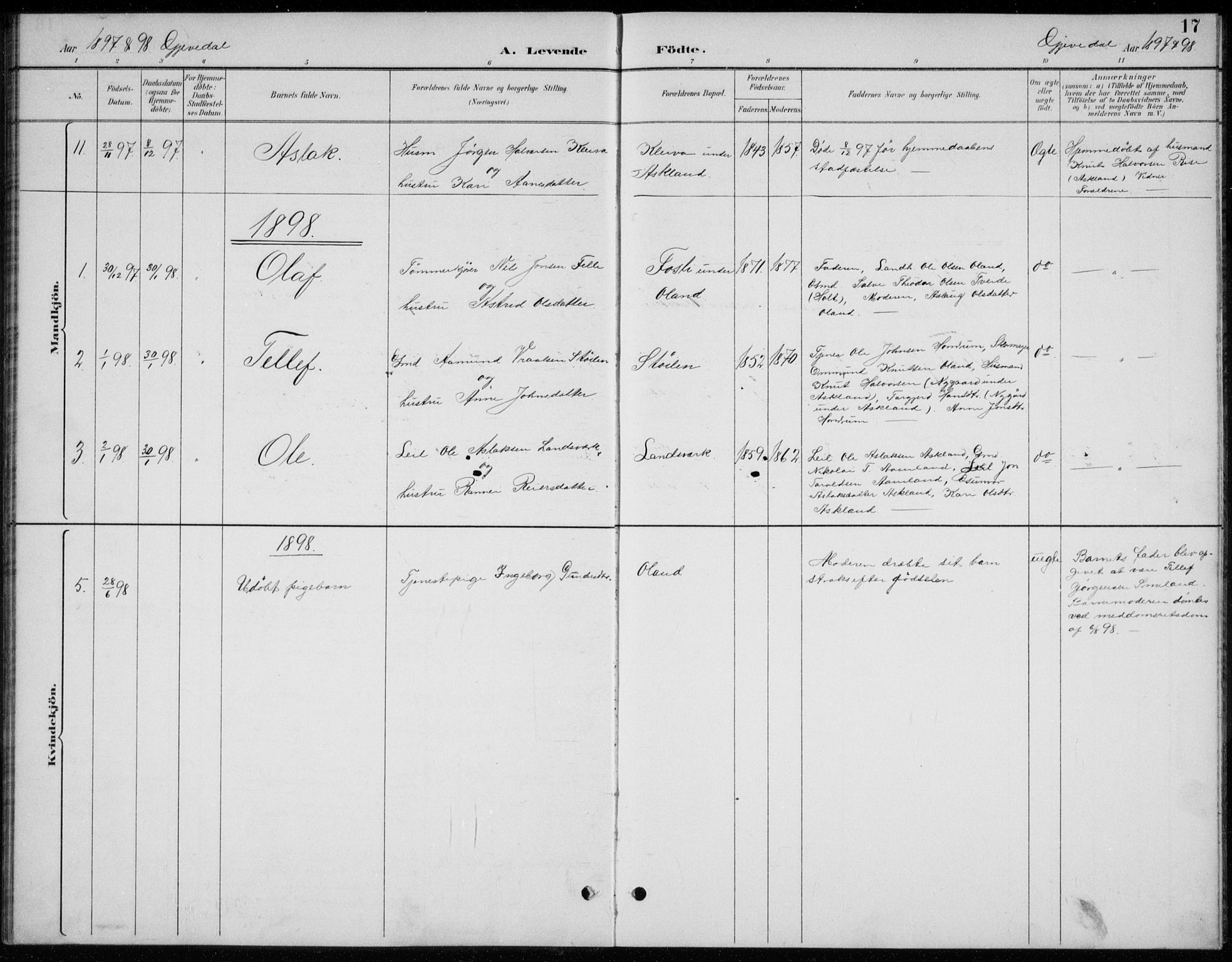 Åmli sokneprestkontor, AV/SAK-1111-0050/F/Fb/Fba/L0002: Parish register (copy) no. B 2, 1890-1912, p. 17