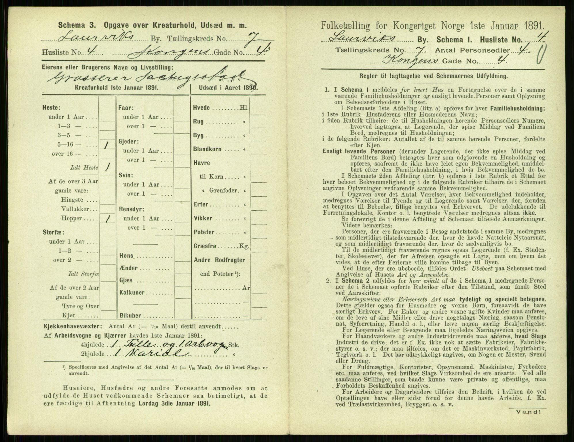 RA, 1891 census for 0707 Larvik, 1891, p. 913