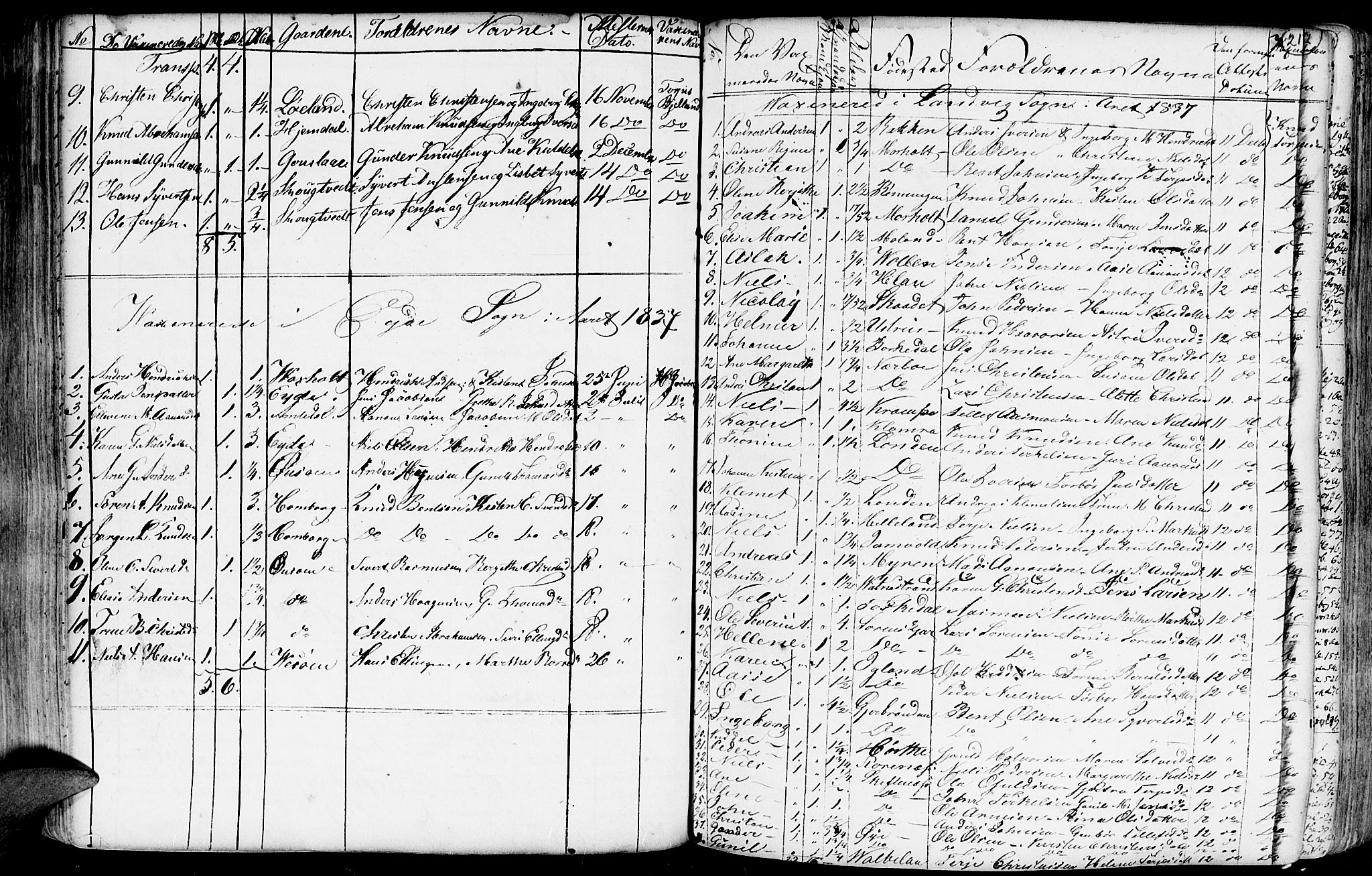 Hommedal sokneprestkontor, AV/SAK-1111-0023/F/Fa/Fab/L0002: Parish register (official) no. A 2 /1, 1741-1848, p. 217