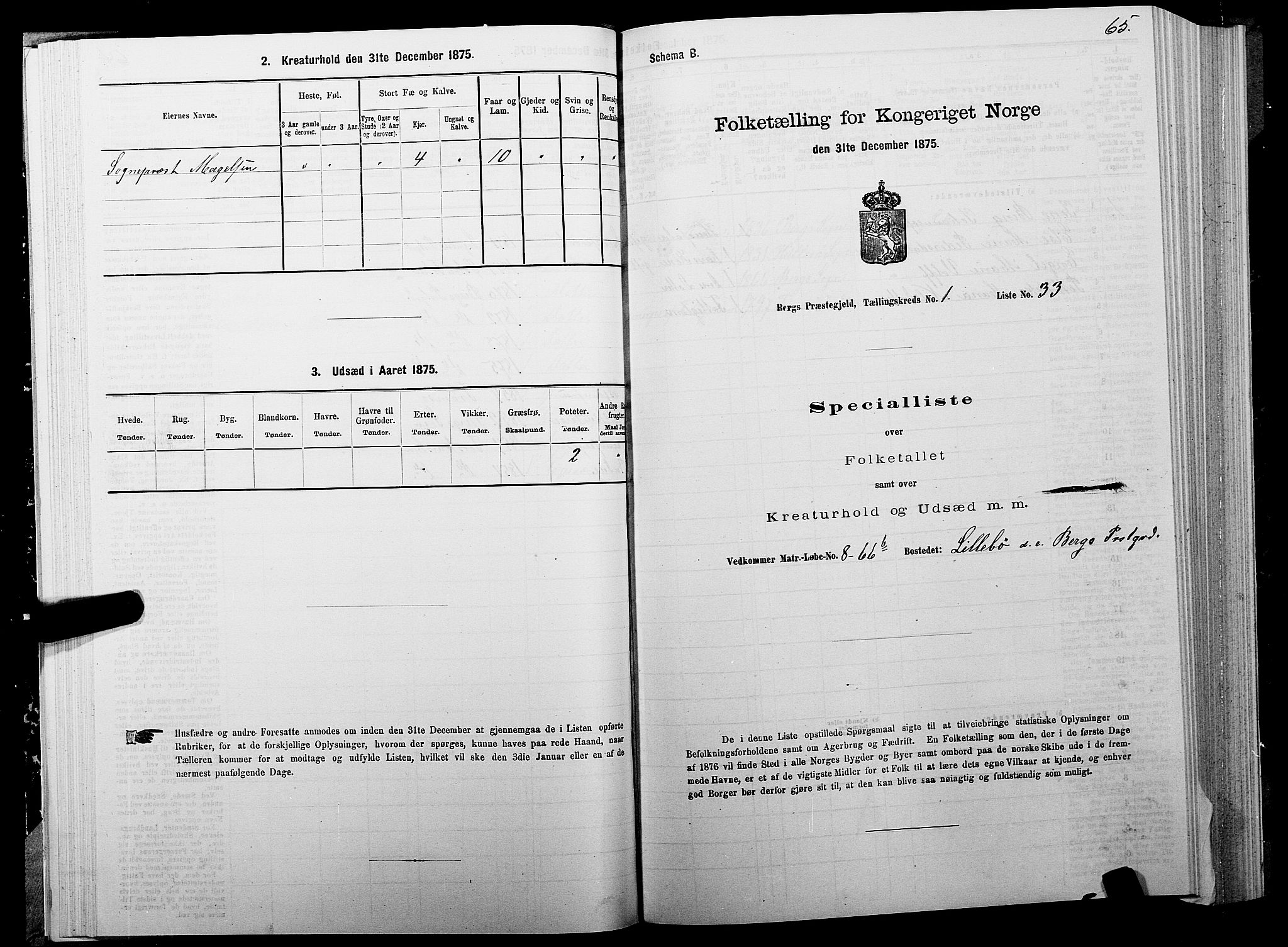 SATØ, 1875 census for 1929P Berg, 1875, p. 1065