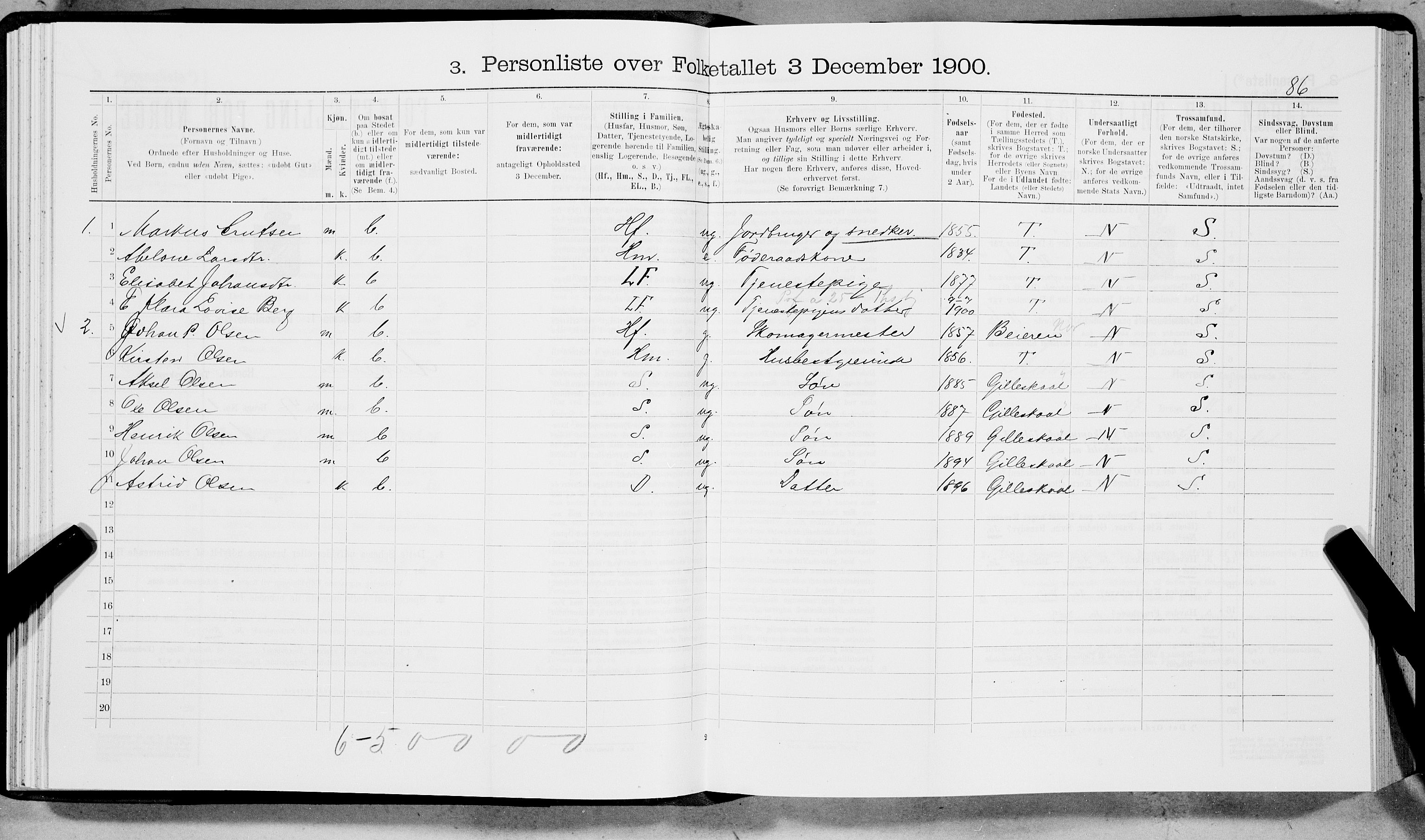 SAT, 1900 census for Ankenes, 1900, p. 1255