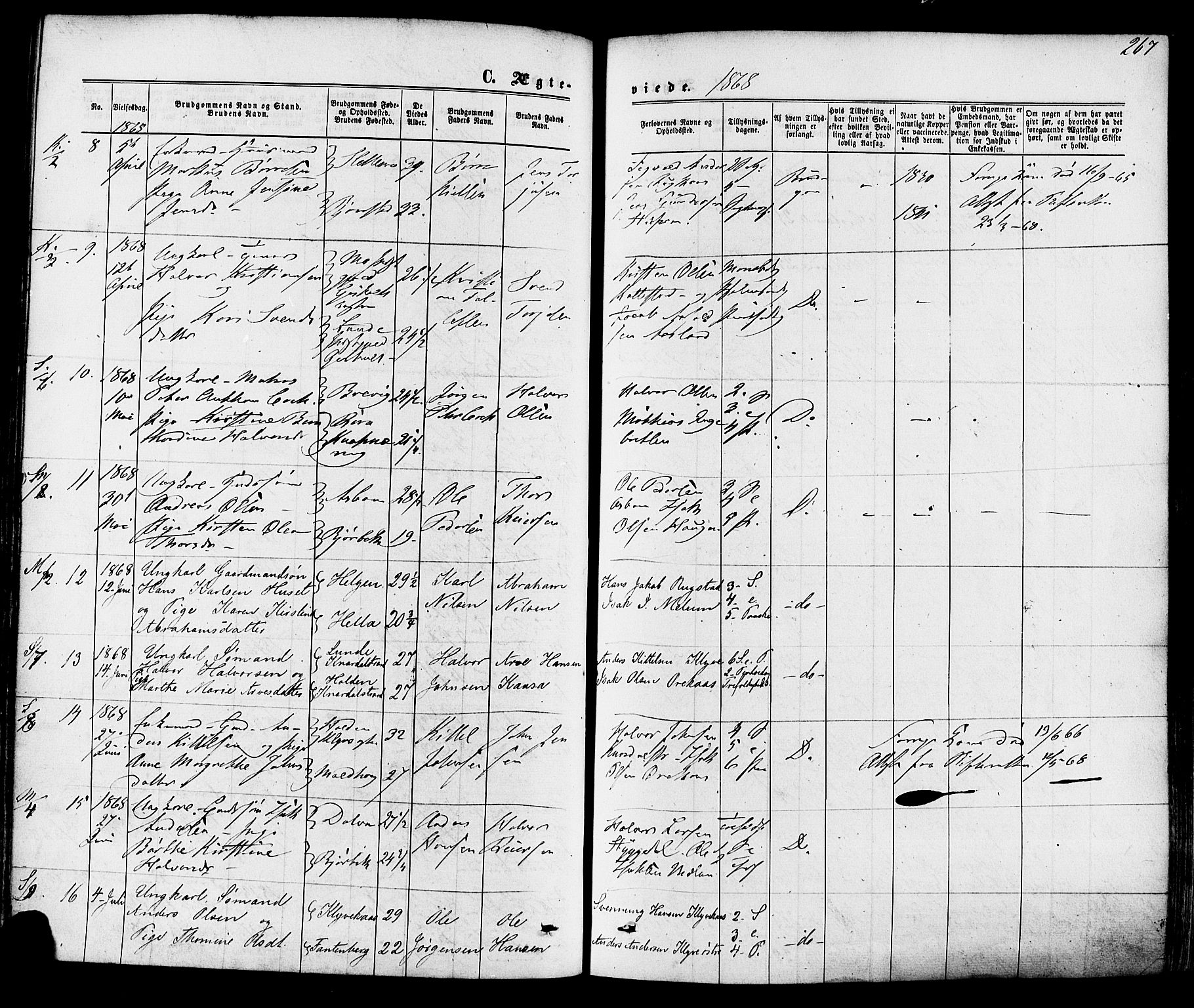 Solum kirkebøker, SAKO/A-306/F/Fa/L0008: Parish register (official) no. I 8, 1865-1876, p. 267