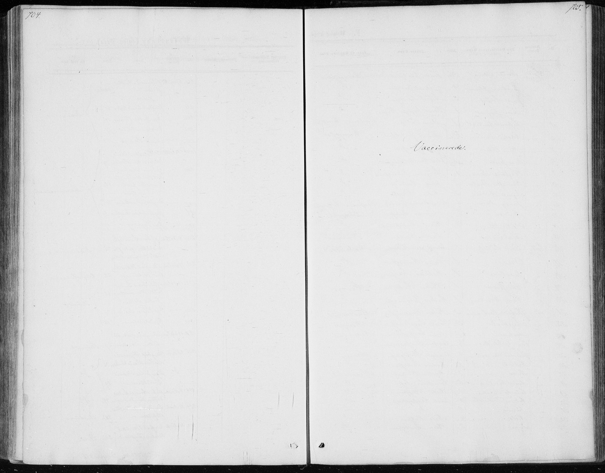 Skoger kirkebøker, SAKO/A-59/F/Fa/L0004: Parish register (official) no. I 4, 1862-1872, p. 704-705