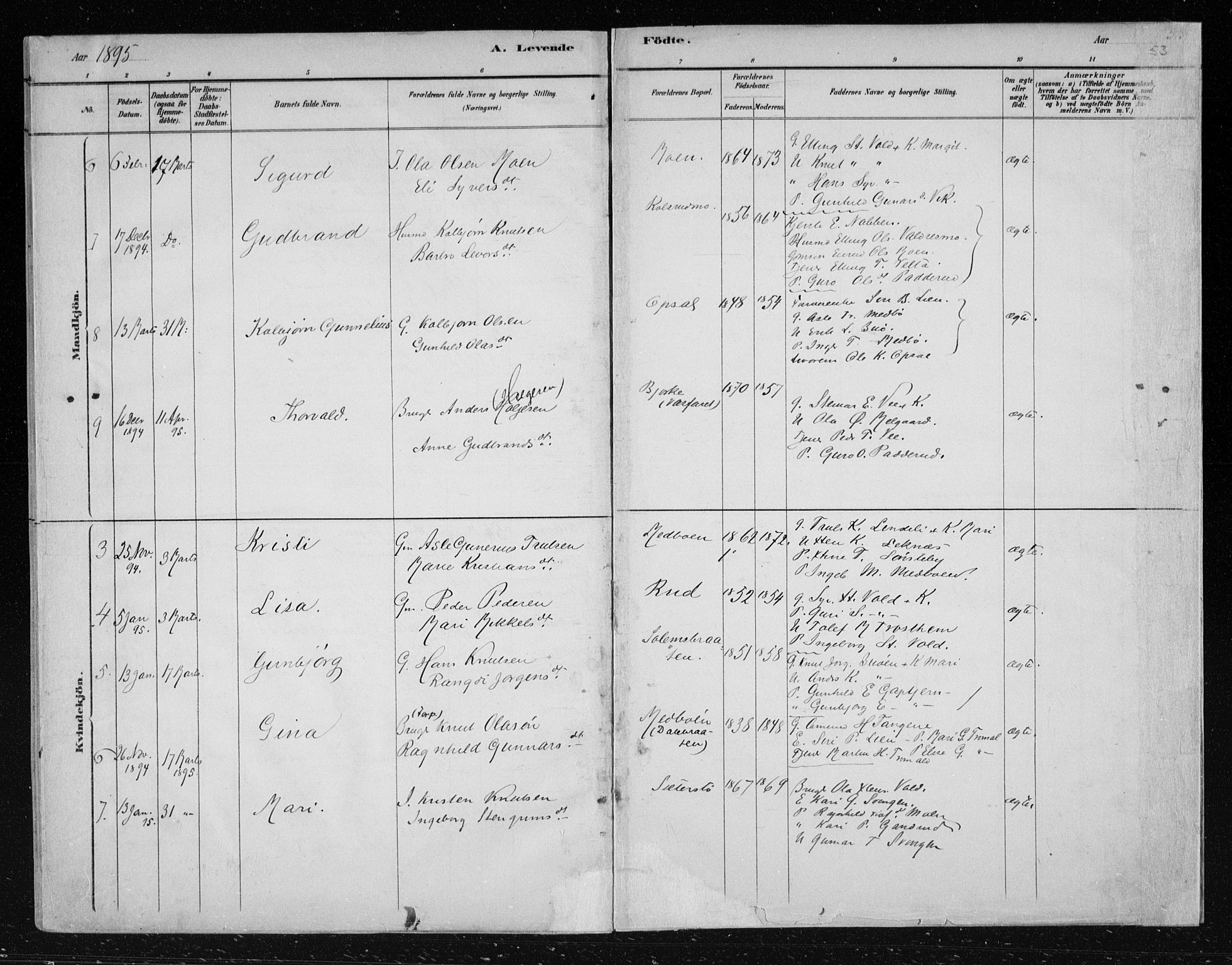 Nes kirkebøker, SAKO/A-236/F/Fa/L0012: Parish register (official) no. 12, 1881-1917, p. 53