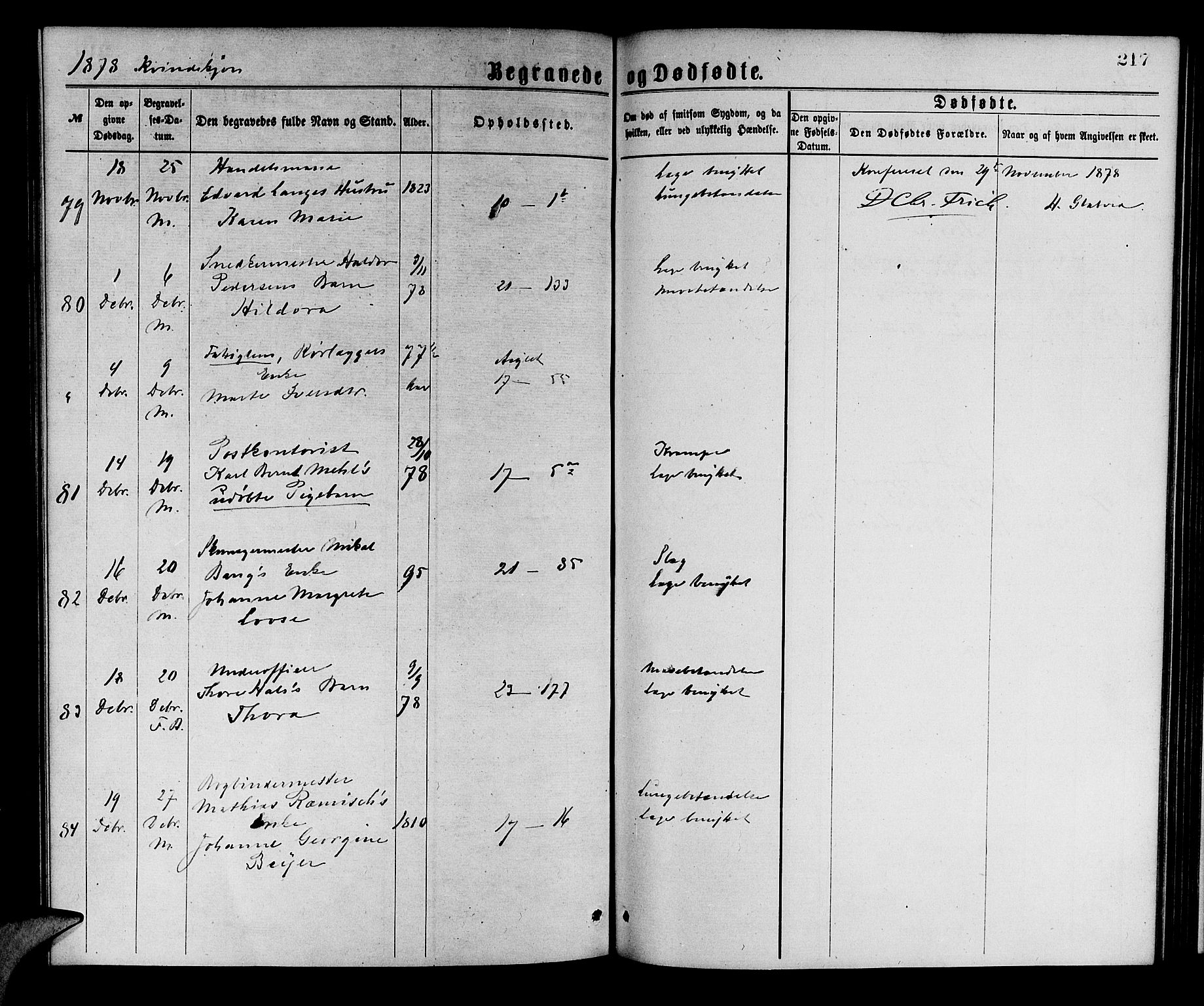 Korskirken sokneprestembete, AV/SAB-A-76101/H/Hab: Parish register (copy) no. E 3, 1871-1883, p. 217