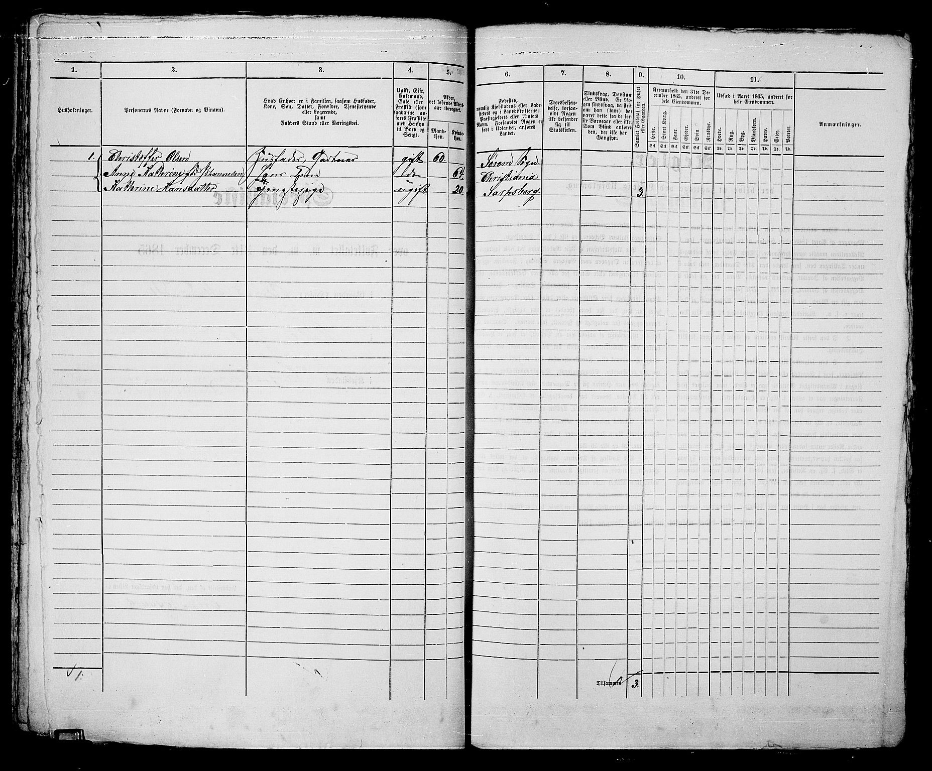 RA, 1865 census for Sarpsborg, 1865, p. 115