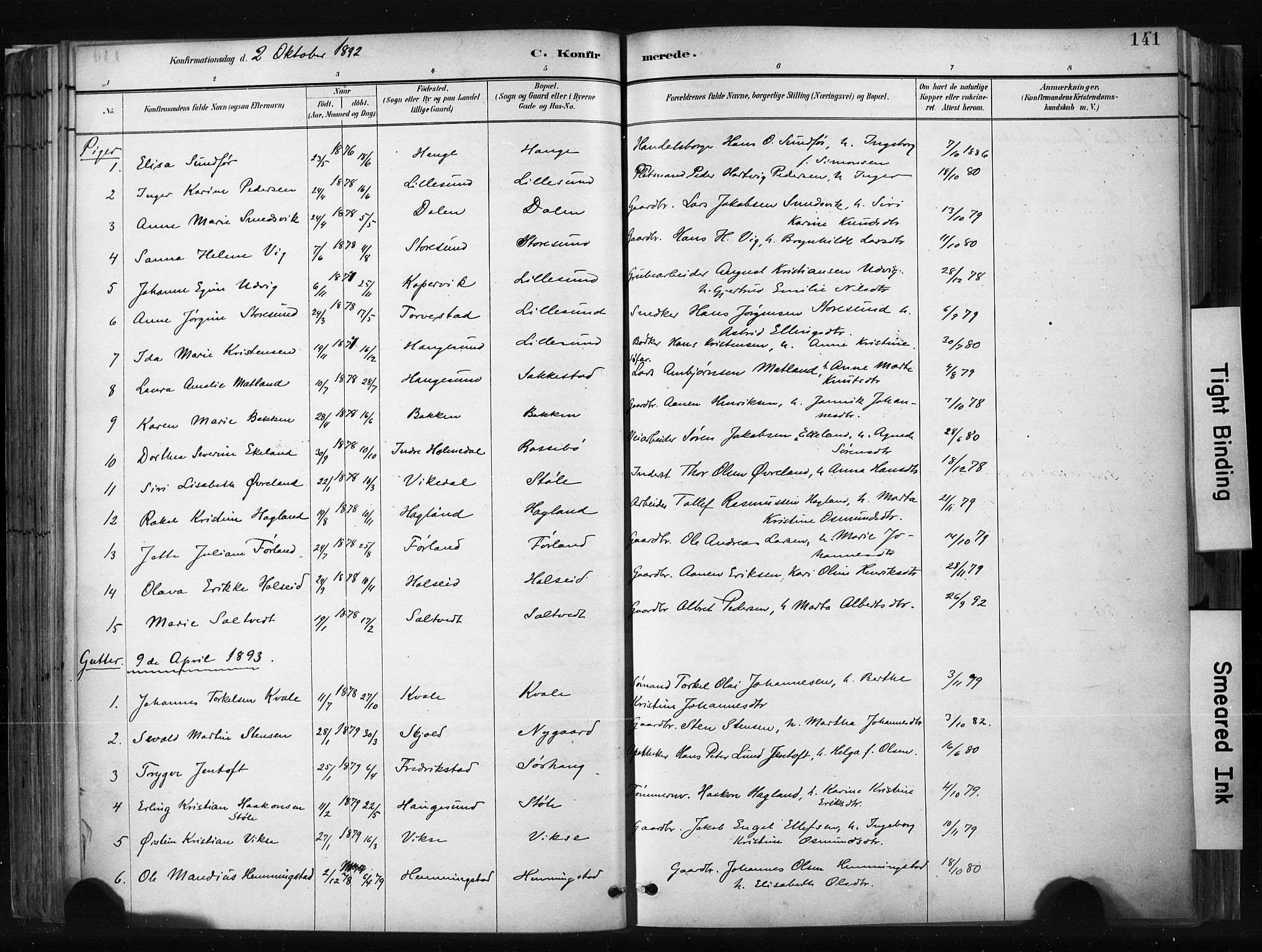 Haugesund sokneprestkontor, AV/SAST-A -101863/H/Ha/Haa/L0004: Parish register (official) no. A 4, 1886-1908, p. 141