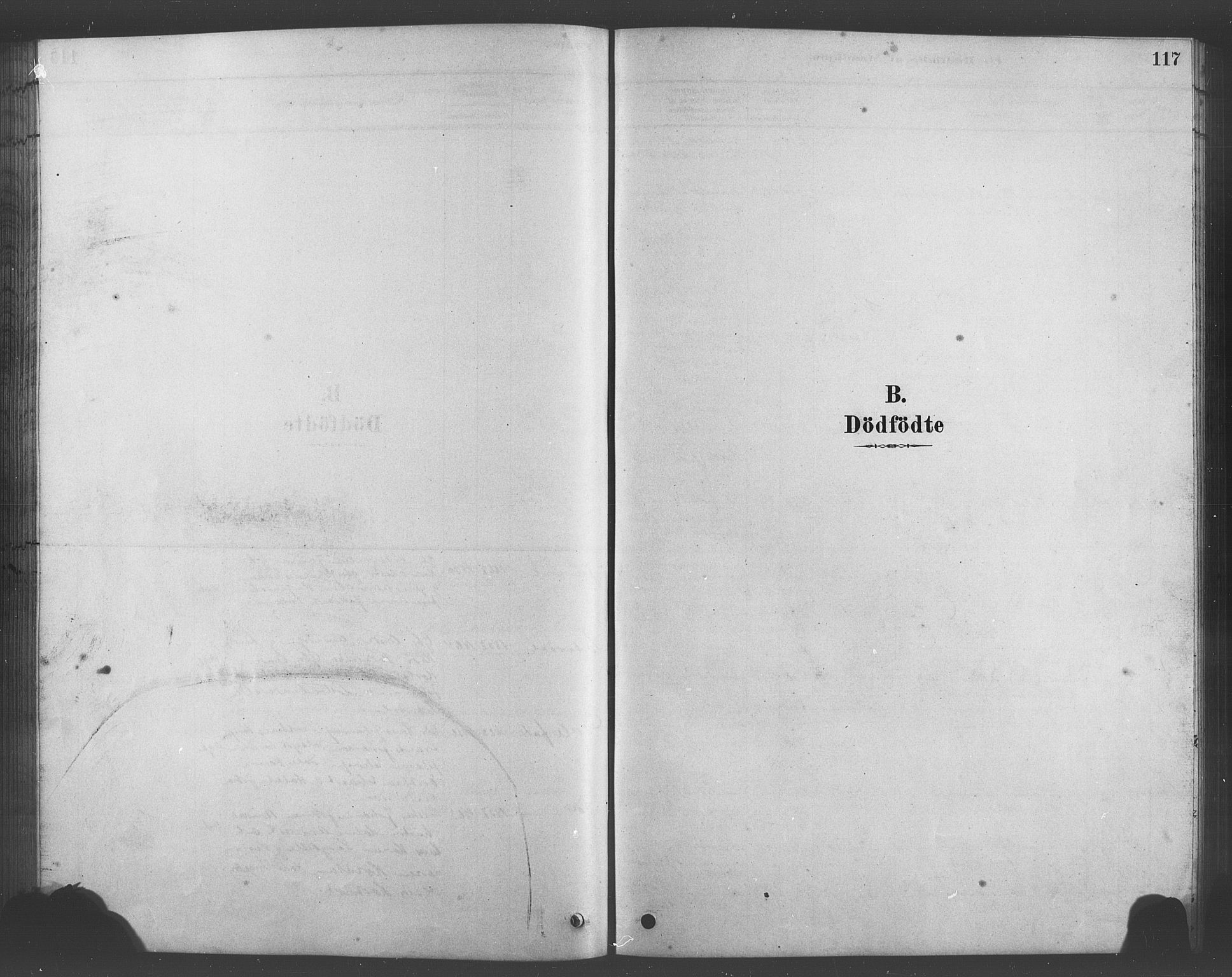 Bruvik Sokneprestembete, SAB/A-74701/H/Hab: Parish register (copy) no. A 1, 1878-1907, p. 117
