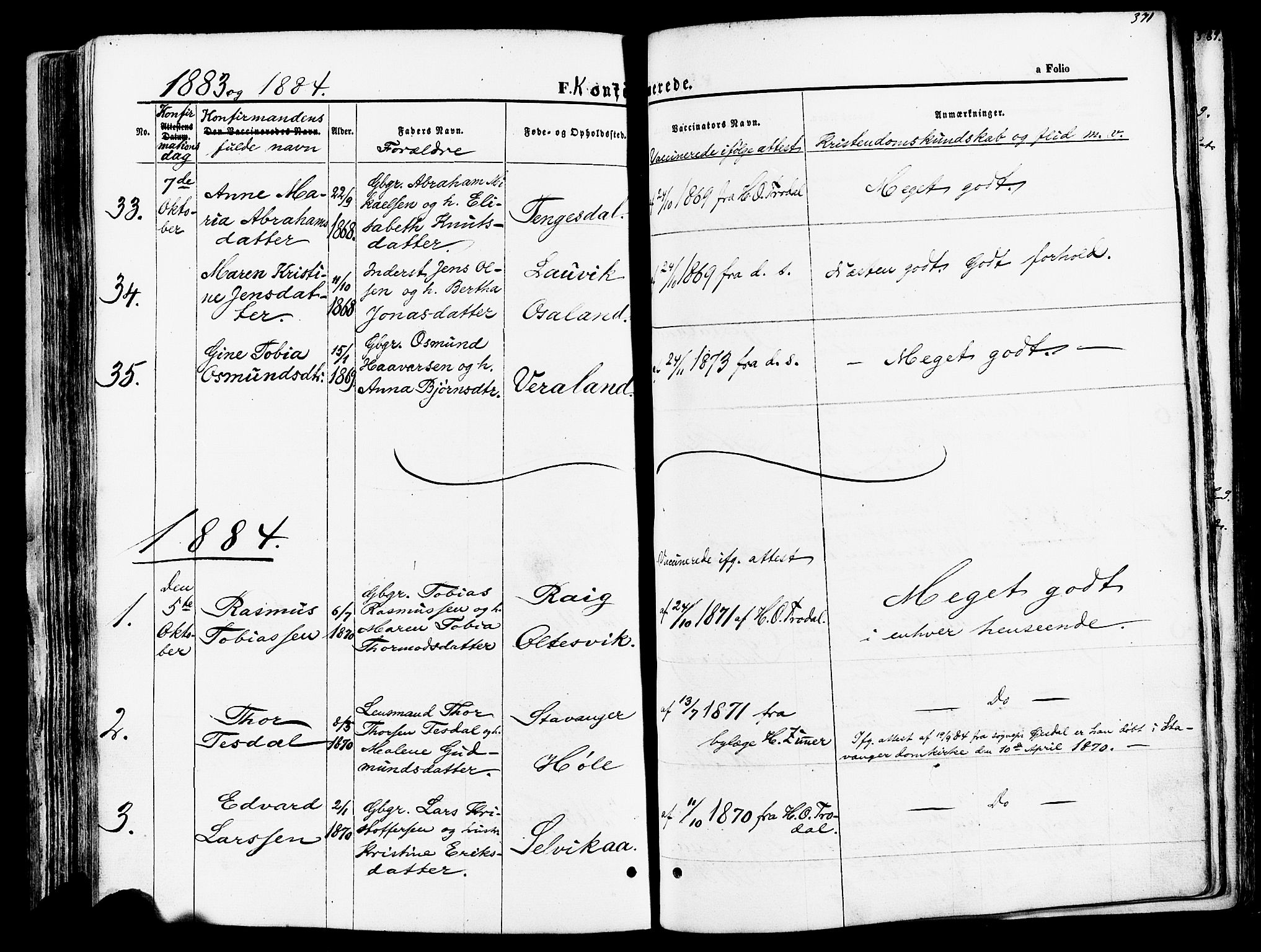 Høgsfjord sokneprestkontor, SAST/A-101624/H/Ha/Haa/L0002: Parish register (official) no. A 2, 1855-1885, p. 371